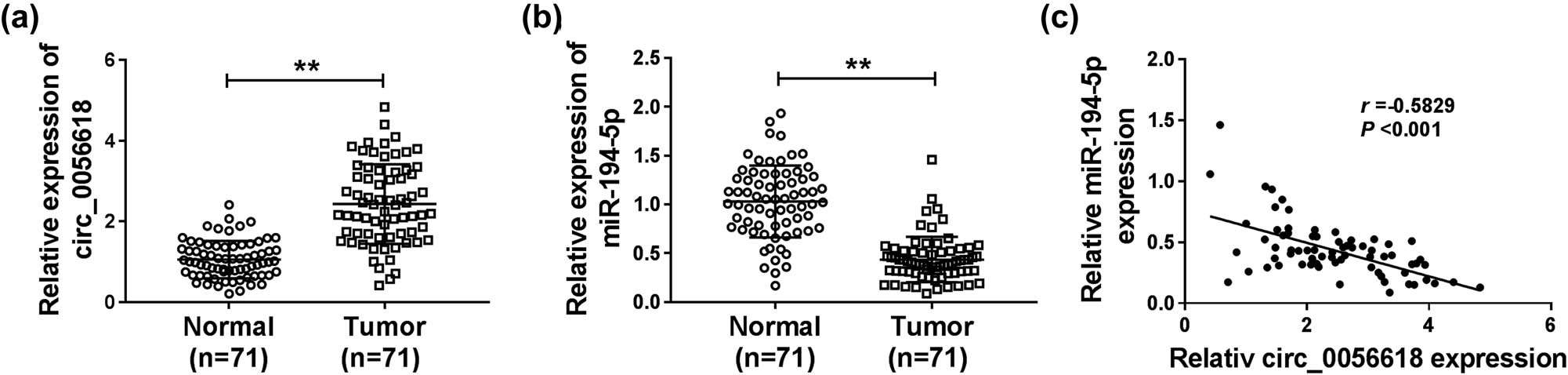Figure 1
High expression of circ_0056618 and low expression of miR-194-5p in GC tissues. (a and b) qRT-PCR analysis was conducted for circ_0056618 and miR-194-5p expression levels in GC tissues and adjacent normal tissues. (c) The correlation between the levels of circ_0056618 and miR-194-5p in GC tissues was analyzed by Pearson’s correlation coefficient analysis. **P < 0.01.