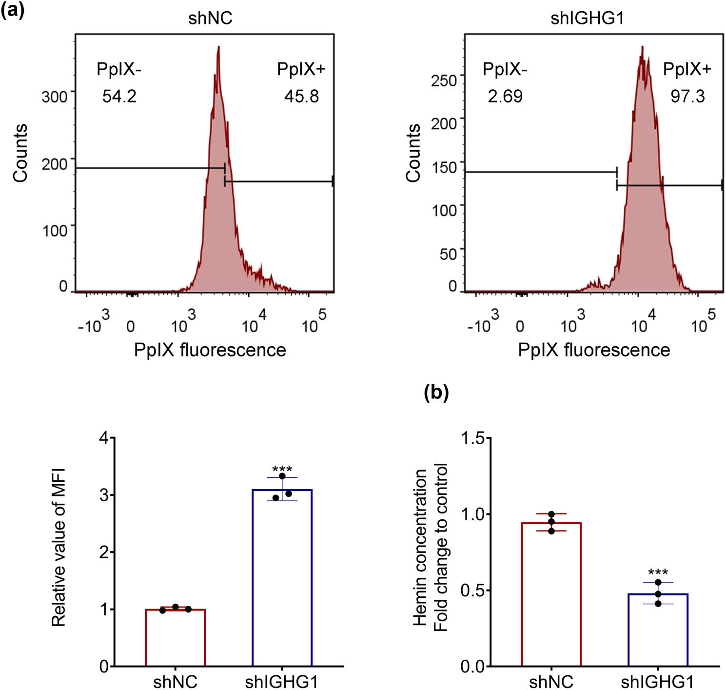 Figure 3 
                  IGHG1 mediated PpIX accumulation and heme biosynthesis in colorectal cancer. (a) Knockdown of IGHG1 enhanced cellular fluorescence of PpIX in HT29 cells. (b) Knockdown of IGHG1 reduced heme content in HT29 cells. *** vs shNC, p < 0.001.
               