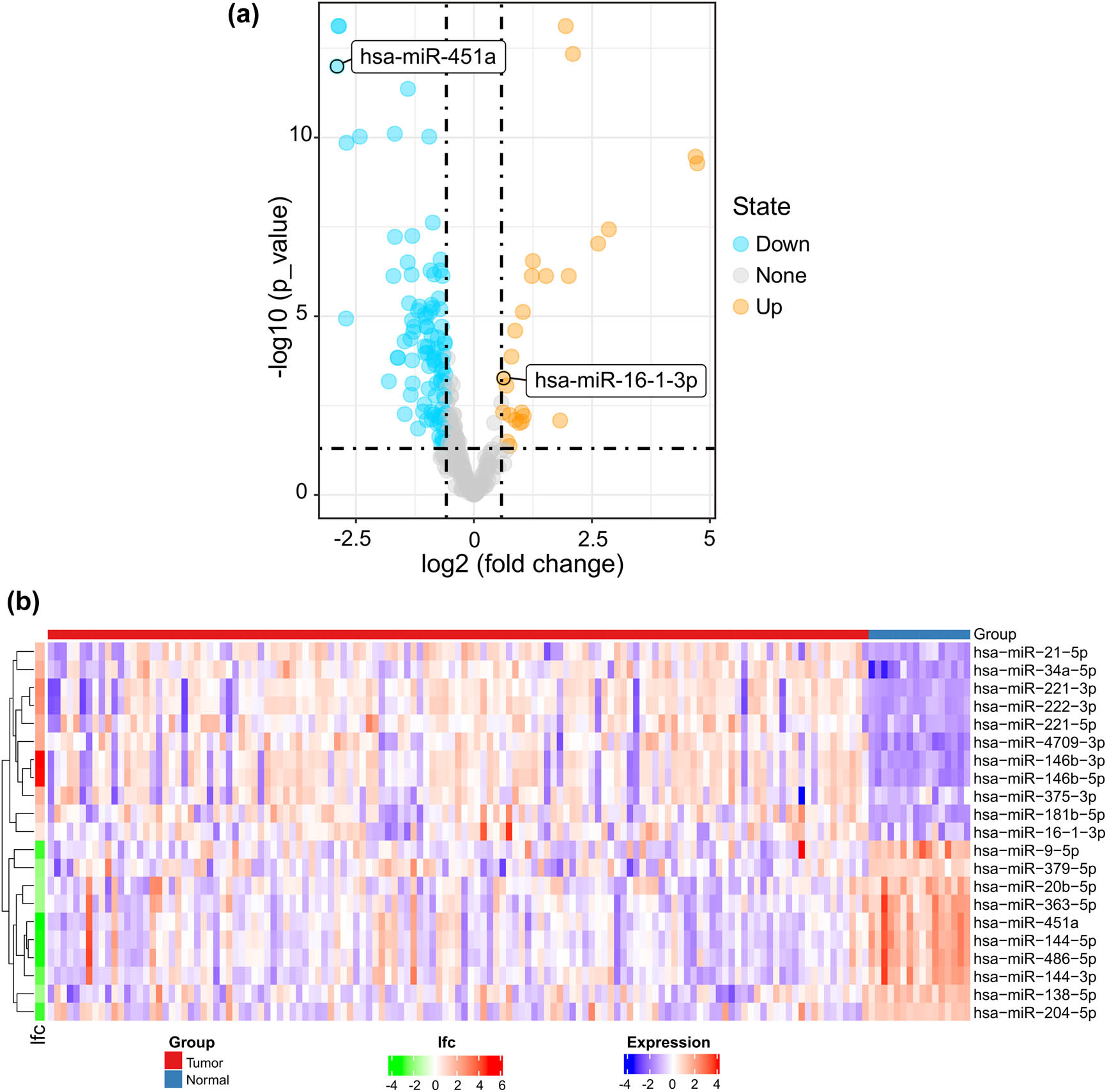 Figure 1 
                  (a) Volcano plot of differentially expressed miRNAs. Yellow dots represent upregulated miRNAs, and blue dots represent downregulated miRNAs. (b) The heat map shows the top 10 upregulated and top 10 downregulated differentially expressed miRNAs. miR-451a and miR-16-1-3p are included in this heat map. A red box represents upregulated expression, whereas a blue box represents downregulated expression. For log fold change (lfc), red represents upregulated expression, whereas green represents downregulated expression; the colour scale for lfc ranges from −4 (green) to 6 (red), and the x-axis above the plot indicates grouping of samples in which red is the tumour tissue group and blue is the normal tissue group.
               