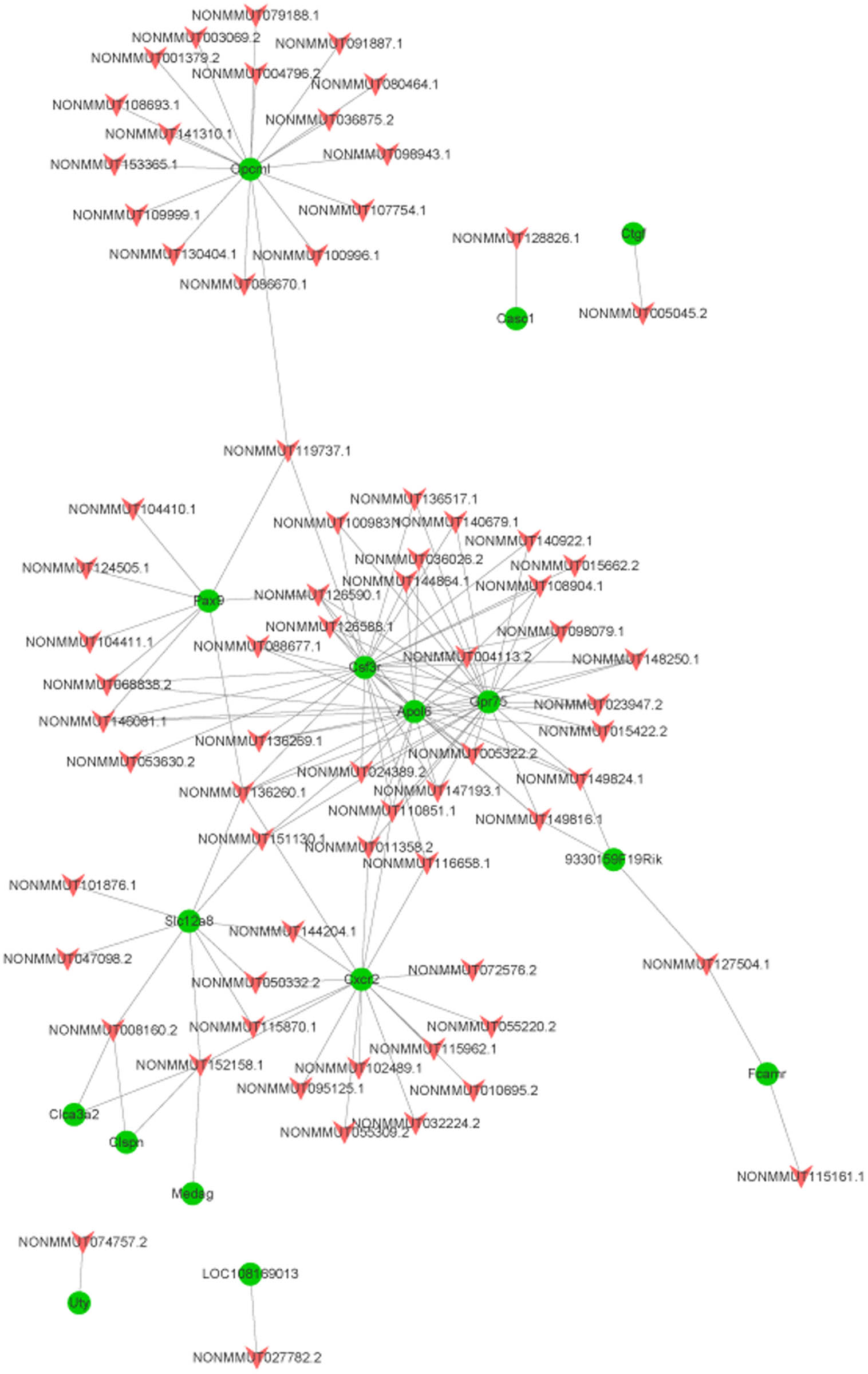 Figure 6 
                  Network of lncRNA and gene trans analysis (red arrow nodes represent differentially expressed lncRNAs, while green circular nodes represent DEMs).
               