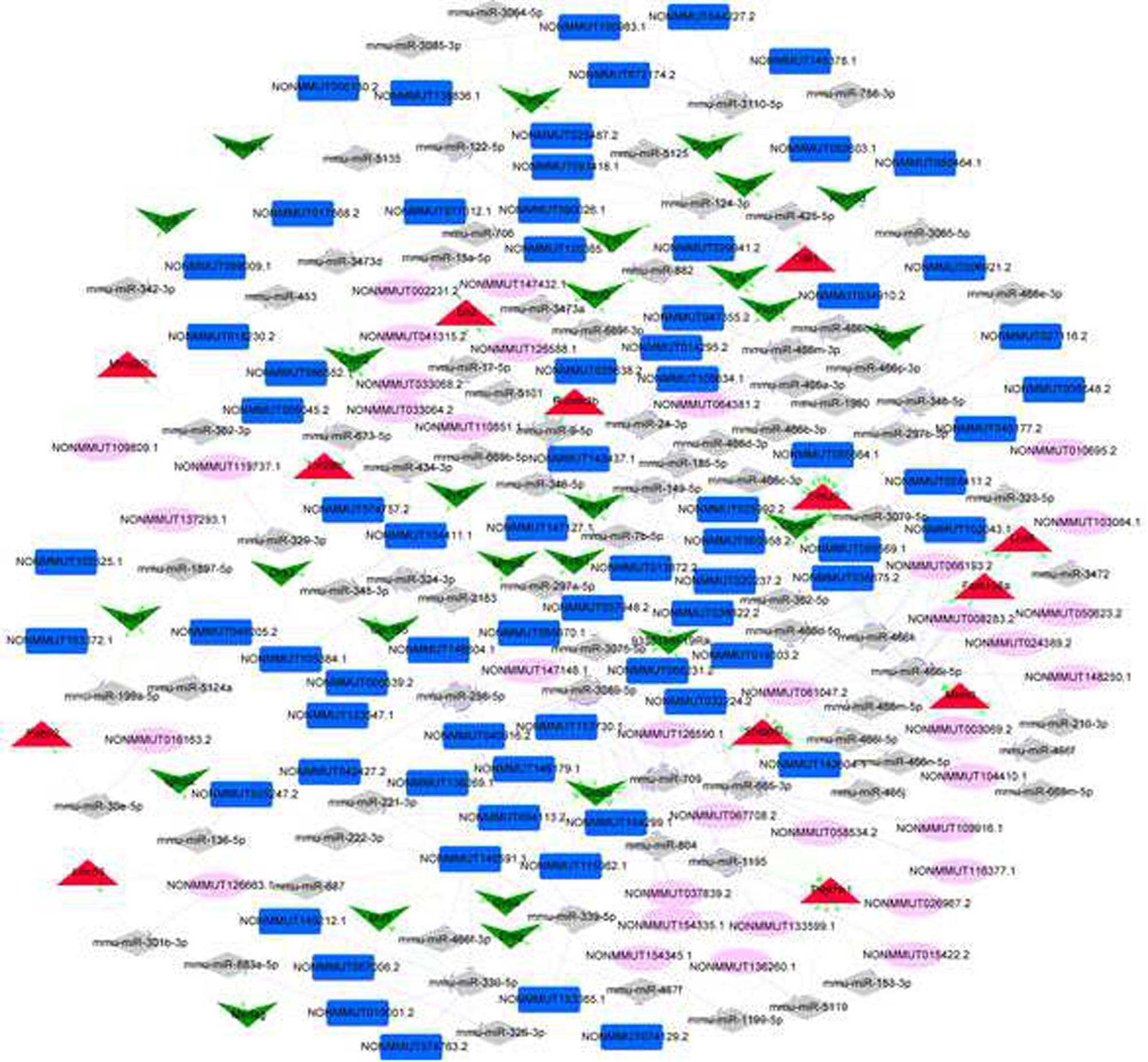Figure 7 
                  ceRNA network (red triangle represents upregulated mRNA; green inverted triangle represents downregulated mRNA; gray rhomboid represents miRNA; dark blue rectangle represents downregulated lncRNAs; pink ellipses represent upregulated lncRNAs; the green arrow represents the miRNA–mRNA regulatory relationship; the purple T-line represents the lncRNA–miRNA regulatory relationship; the yellow line represents the lncRNA–mRNA co-expression relationship).
               