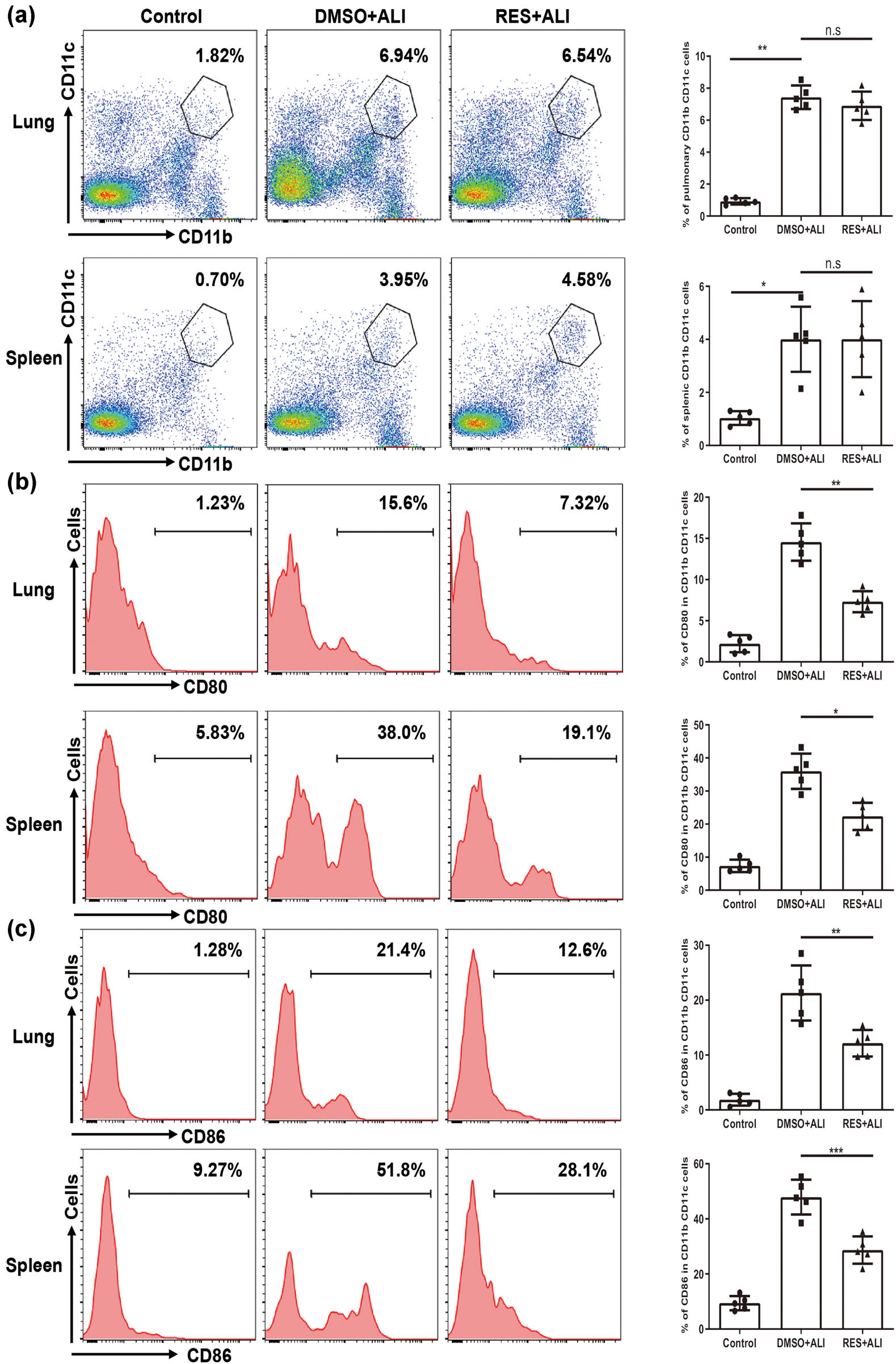 Figure 4 
                  Pretreated RES has no influence on cDCs expansion, but regulated pulmonary and splenic cDCs maturation and function. 24 h after LPS exposure, cDCs’ responses were evaluated in differential treatment mice groups. (a) The representative flow cytometry profile and frequency of cDCs (CD11b+CD11c+) response in lung and spleen upon LPS challenge. Plots were pregated on CD45 cells. (b–d) The representative flow cytometry profile and frequency of co-stimulatory molecules (CD80 and CD86) and MHC II in lung and spleen upon LPS challenge. (e) The representative flow cytometry profile and frequency of inhibitory molecule ILT3 in lung and spleen upon LPS challenge. (f) The representative flow cytometry profile and frequency of IL-12 and IL-10 secretion in lung upon LPS challenge. Plots were pregated on cDCs cells (from b to f). Data were from one representative experiment of three performed and presented as the mean value ± SEM (n = 5), 1-way ANOVA was used, *P < 0.05, **P < 0.01, and ***P < 0.001, n.s means no significance.
               