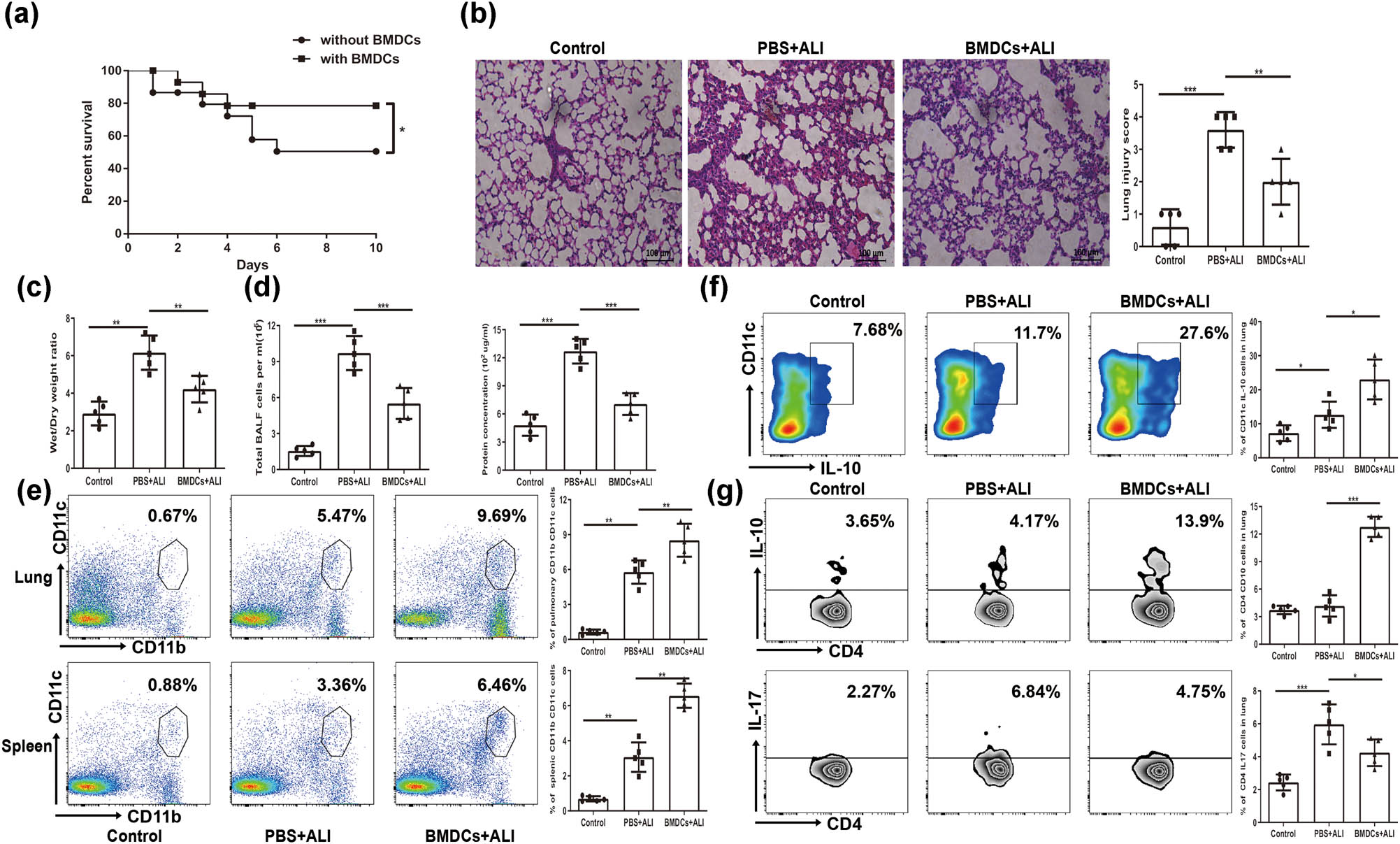 Figure 7 
                  Adoptive transfer RES treated BMDCs attenuates ALI. 1 × 106 RES treated BMDCs i.v one day before LPS-challenged ALI mice. (a) The survival rate of mice was observed until day 10 following LPS challenge. (b) Pulmonary histopathological scores were determined at 24 h after LPS challenge (magnification: 200×). (c) The wet lung-to-dry weight ratio (W/D ratio) was monitored at 24 h after LPS challenge. (e) Total cells and proteins in BALF were analyzed at 24 h after LPS challenge. (e) The representative flow cytometry profile and frequency of CD11b+CD11c+ cells in lung and spleen from ALI mice. (f) The representative flow cytometry profile and frequency of pulmonary CD11c+IL-10+ cells from ALI mice. (g) The representative flow cytometry profile and frequency of peripheral CD4+IL-10+ and CD4+IL17+ cells from ALI mice. Data were from one representative experiment of three performed and presented as the mean value ± SEM (n = 5), 1-way ANOVA was used, for survival assay, n = 15, Kaplan–Meyer analysis with log-rank test was used, *P < 0.05, **P < 0.01, and ***P < 0.001.
               