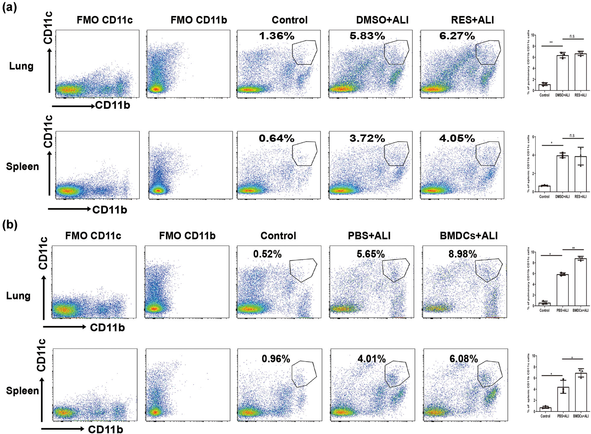 Figure A1 
                  FMO control to define CD11b+ CD11c+ cells. (a) The representative flow cytometry profile of cDCs (CD11b+ CD11c+) with FMO control in lung and spleen upon LPS challenge (RES pretreatment). (b) The representative flow cytometry profile of CD11b+ CD11c+ cells with a FMO control in lung and spleen from ALI mice (adoptive transfer of BMDCs).
               
