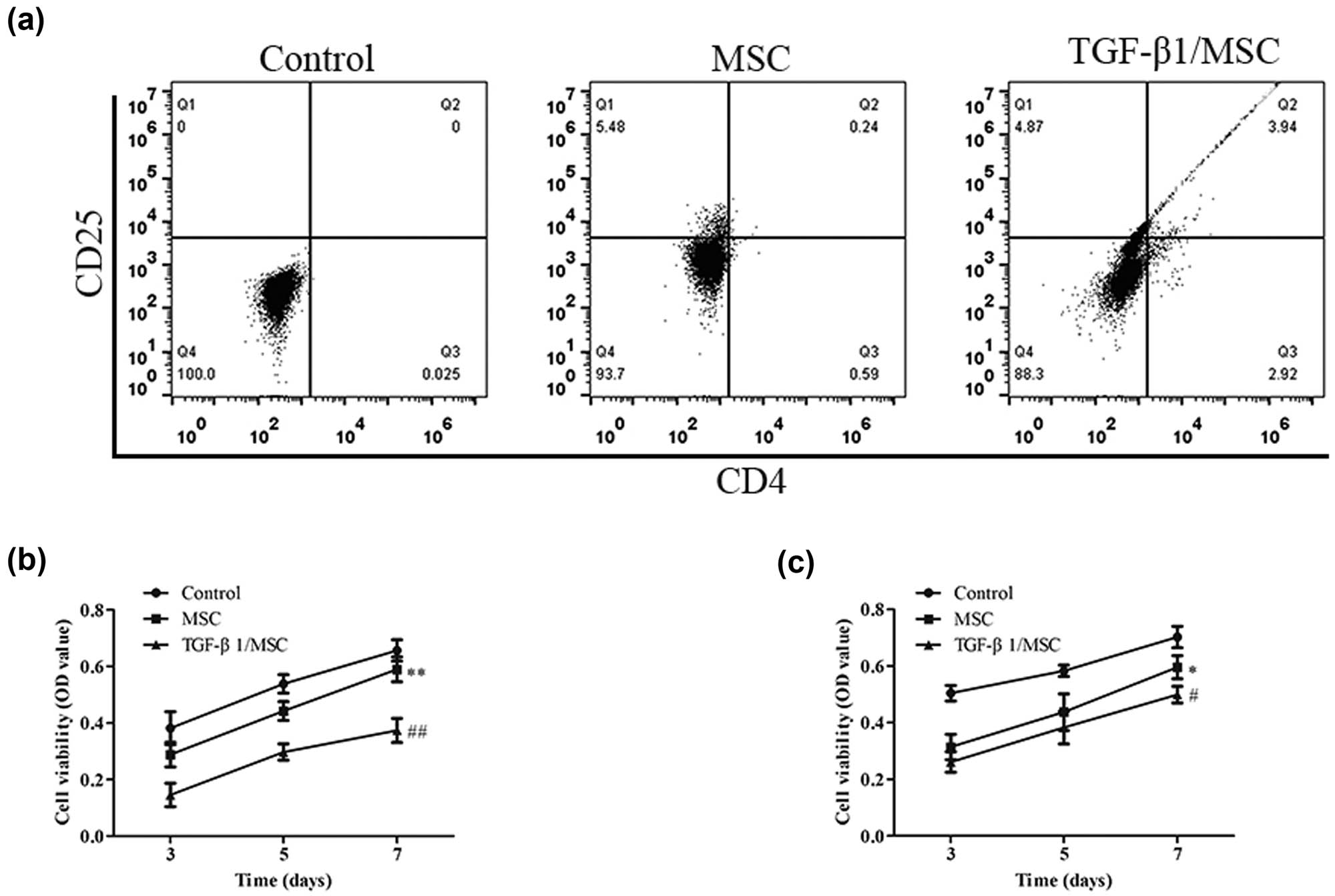 Figure 3 
                  The effect of TGF-β1/MSCs on T cells. (a) T cells were co-cultured with MSCs or TGF-β1/MSCs, and the proportion of CD4+ CD25+ T cells in lymphocytes was detected by flow cytometry. (b) CD4+ T cells were co-cultured with MSCs or TGF-β1/MSCs for 3, 5, or 7 days, and proliferative responses were measured. (c) CD8+ T cells were co-cultured with MSCs or TGF-β1/MSCs in the presence of IL-2 after 3, 5, or 7 days. Live cells were collected, and the cytotoxic activity against MDCK cells was assessed. Data are expressed as the mean ± SD. Three independent experiments were analyzed using unpaired Student’s t-tests. *P < 0.05; **P < 0.01; MSCs group vs control group. #
                     P < 0.05; ##
                     P < 0.01; TGF-β1/MSCs group vs MSCs group.
               