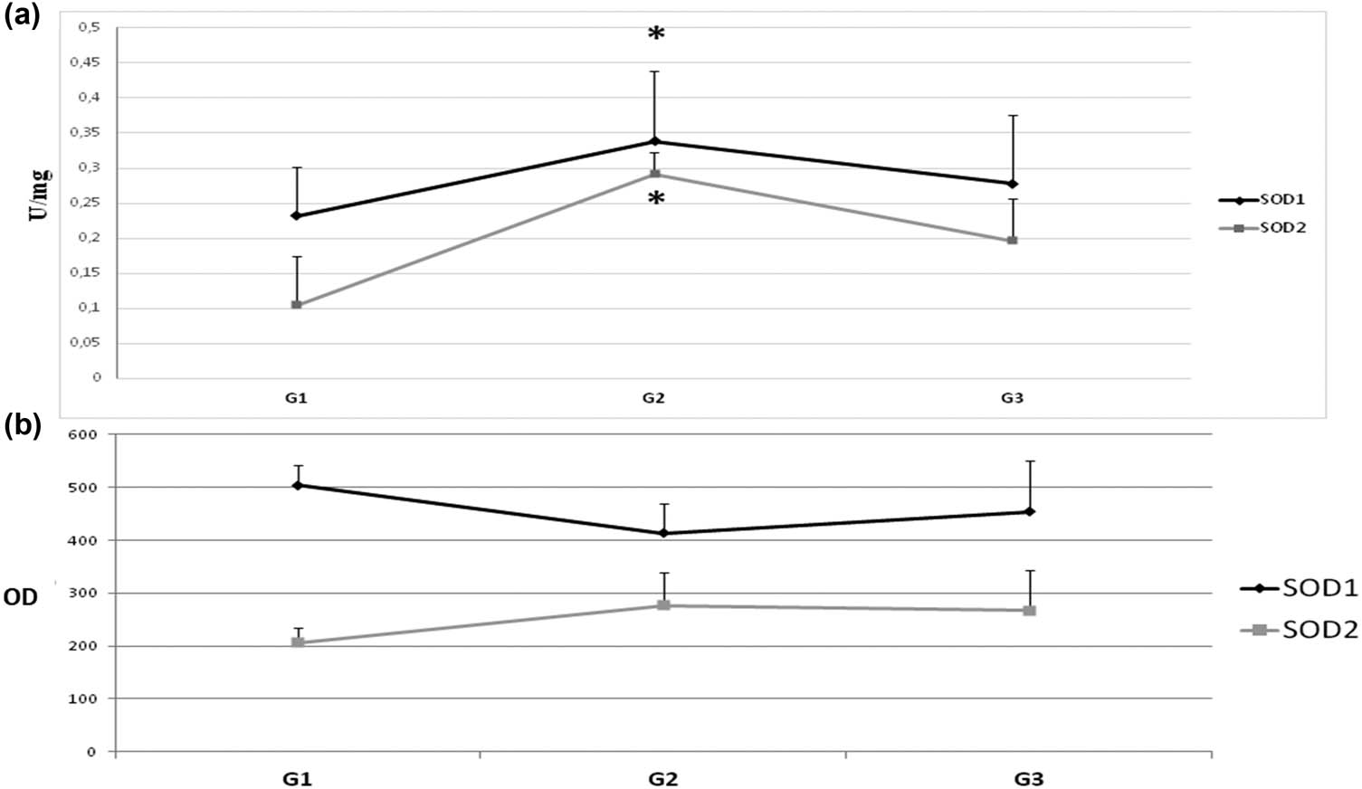 Figure 3 
               Activity and protein level of SOD isoenzymes in subsequent stages of tumor cell differentiation (G). To determine the maturity of the tumor, the classification G (grading) is used. According to the WHO criteria, there are three levels of cancer maturity: G1 – highly differentiated – cancer with histological and cytological features similar to normal glandular epithelium. G2 – moderately differentiated – a cancer of an intermediate structure. G3 – low-differentiated – cancer that does not have common histological features and cytology with normal glandular epithelium. Number of cases: G1 = 3, G2 = 24, and G3 = 11 (we were able to identify the G stage only in part of studied subjects). (a) Activity of SOD1 and SOD2 – activity of SOD isoenzymes was measured according to description in methods and expressed as units per milligram of protein. (b) Protein level of SOD1 and SOD2 – amount of protein of SOD isoenzymes was measured by standard Western blot and expressed as OD. We observed that both activity and protein level of SOD isoenzymes change in a cyclic manner due to differentiation stage (increase–decrease). The activity and protein level of SOD1 are clearly higher than those of SOD2. Activity is the highest at G2 stage. The protein level of SOD2 is also the highest in G2 stage, but in case of SOD1 it is the highest in G1 stage. * – statistically significant versus healthy colon (p < 0.05).
            