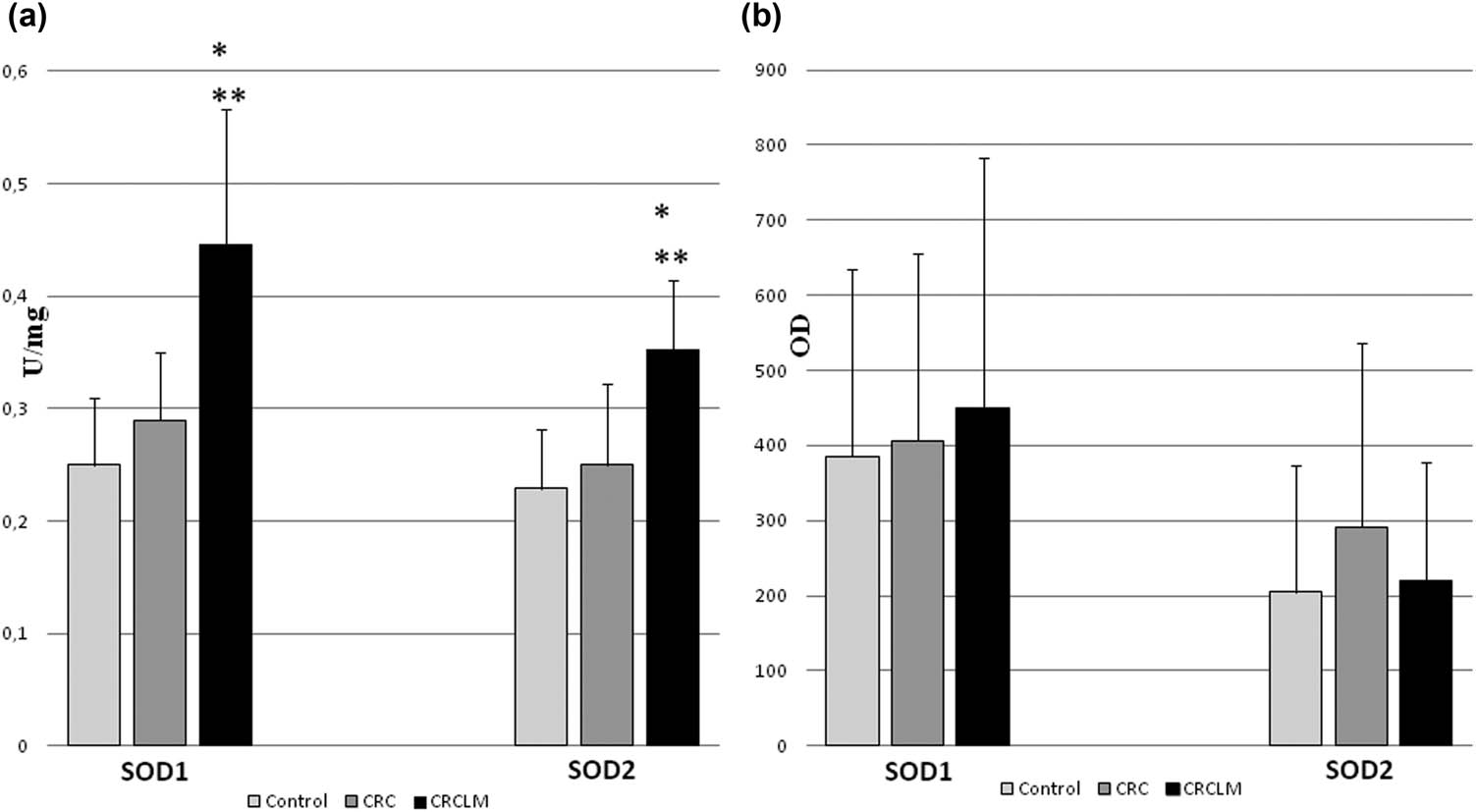 Figure 4 
               Activity and protein level of SOD isoenzymes in colorectal cancer and its liver metastases. CRC – colorectal cancer (n = 65); CRCLM – colorectal cancer liver metastases (n = 33); and control (n = 65). (a) Activity of SOD1 and SOD2 in CRC and CRCLM. Activity of SOD isoenzymes was measured according to description in methods and expressed as units per milligram of protein. We observed the highest activity of SODs in metastases comparing both to control and colorectal cancer. (b) Protein level of SOD1 and SOD2 in CRC and CRCLM. Amount of protein of SOD isoenzymes was measured by standard Western blot and expressed as OD. The highest level of protein was observed for SOD1 in metastases, whereas for SOD2 in colorectal cancer comparing to control. Large error bars might be a result of variability of particular patients age and health, which influence total red/ox balance of organism. * – statistically significant versus healthy colon (p < 0.05). ** – statistically significant versus colorectal cancer (p < 0.05).
            
