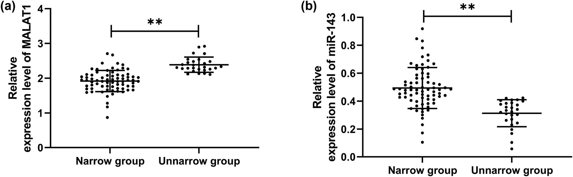 Figure 2 
                  Expression of MALAT1 and miR-143 in CHD patients with restenosis. (a) Expression of MALAT1 in CHD patients with restenosis by qRT-PCR (restenosis group = 27, nonrestenosis group = 73). (b) Expression of miR-143 in CHD patients with restenosis by qRT-PCR (restenosis group = 27, nonrestenosis group = 73). **P < 0.01.
               