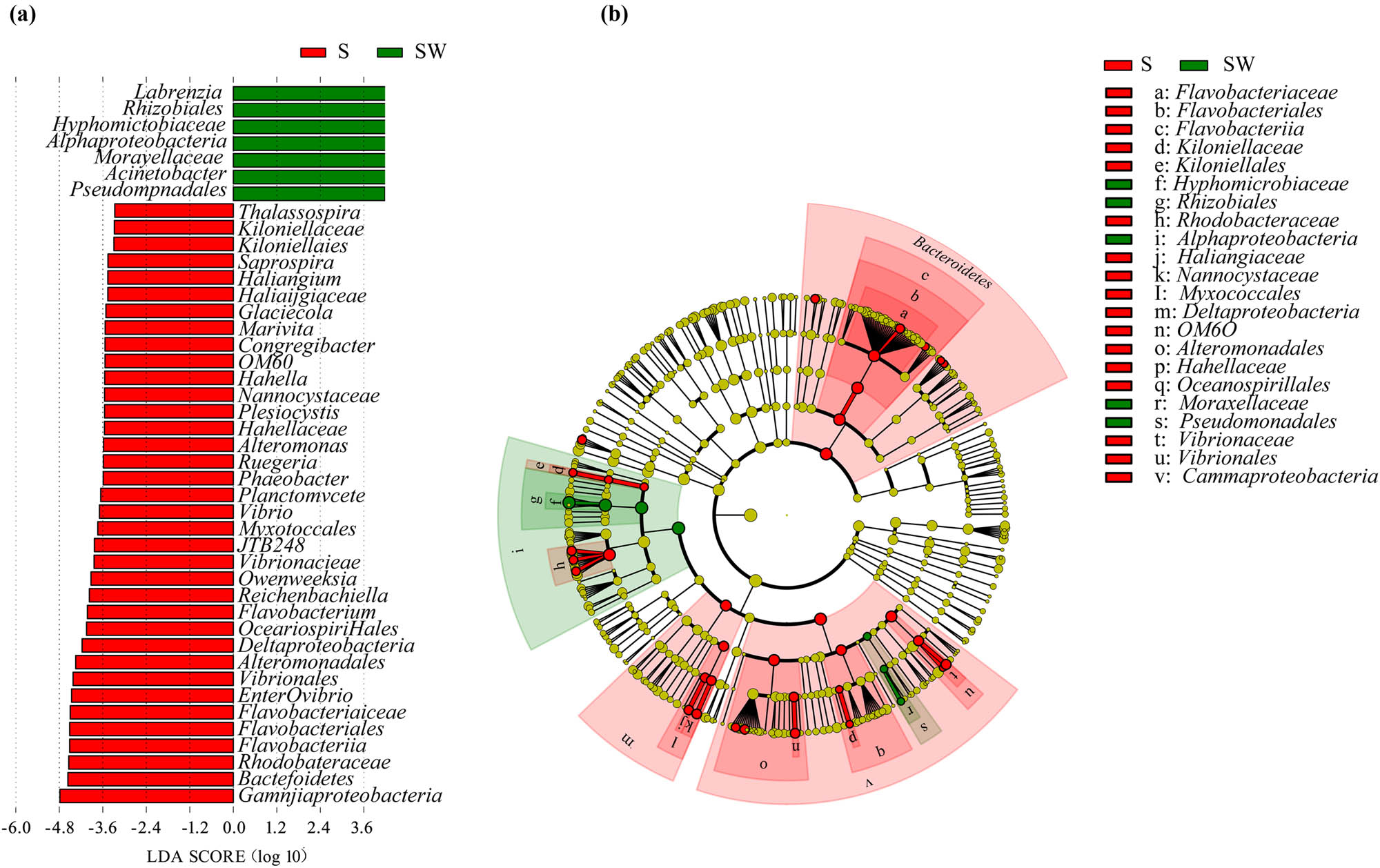 Figure 3
LEfSe analysis in S and SW groups: (a) LDA scores (log 10) derived from LEfSe analysis, showing the biomarker taxa for S and SW and (b) cladogram generated from LEfSe analysis showing the relationship between taxon. S: control group and SW: washed group.