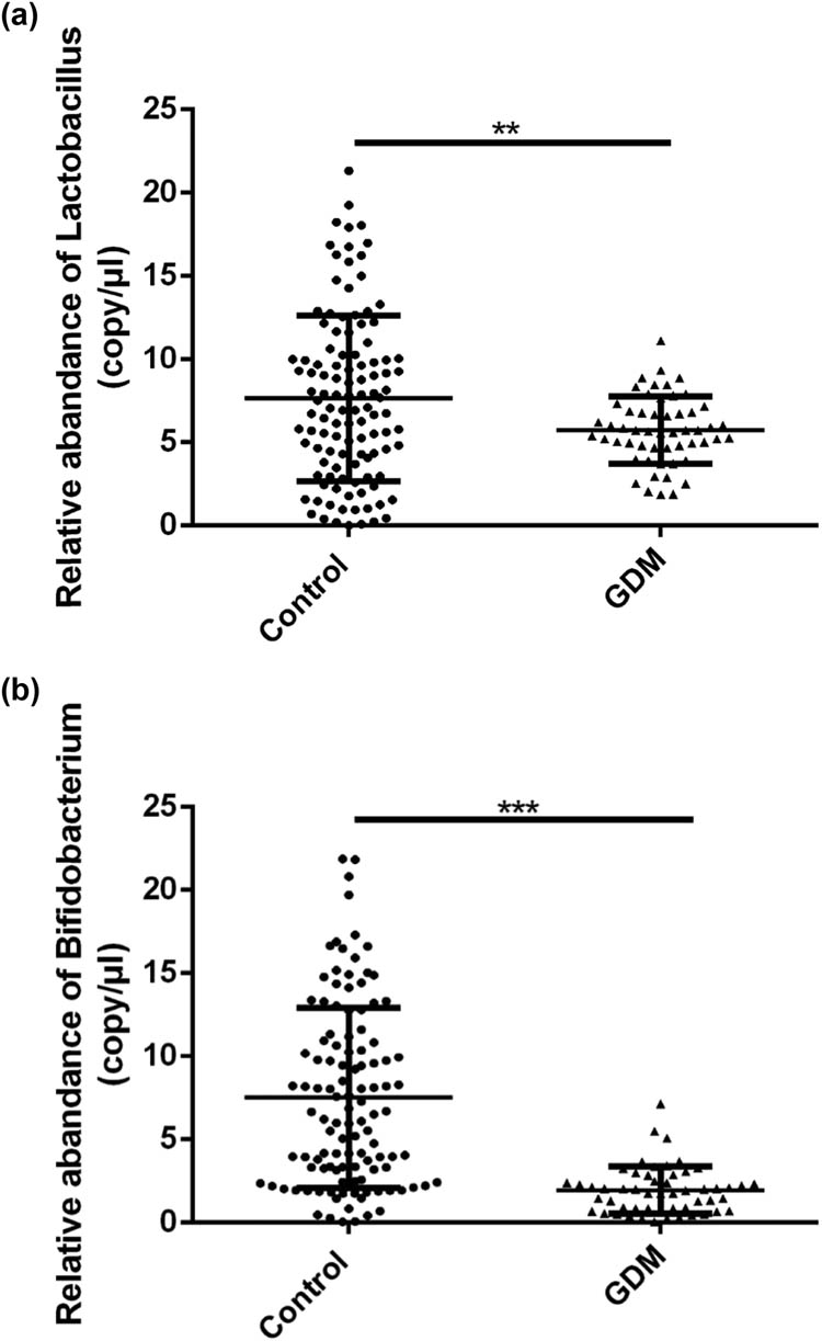 Figure 2
The relative abundance of Lactobacillus and Bifidobacterium in stools of patients with GDM in comparison with the controls: (a) the relative abundance of Lactobacillus and (b) the relative abundance of Bifidobacterium. **p < 0.01, ***p < 0.001.