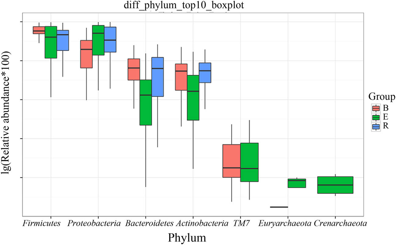Figure 6
Boxplot of the top 7 phyla among the three groups. B, baseline; E, exacerbation; R, recovery.