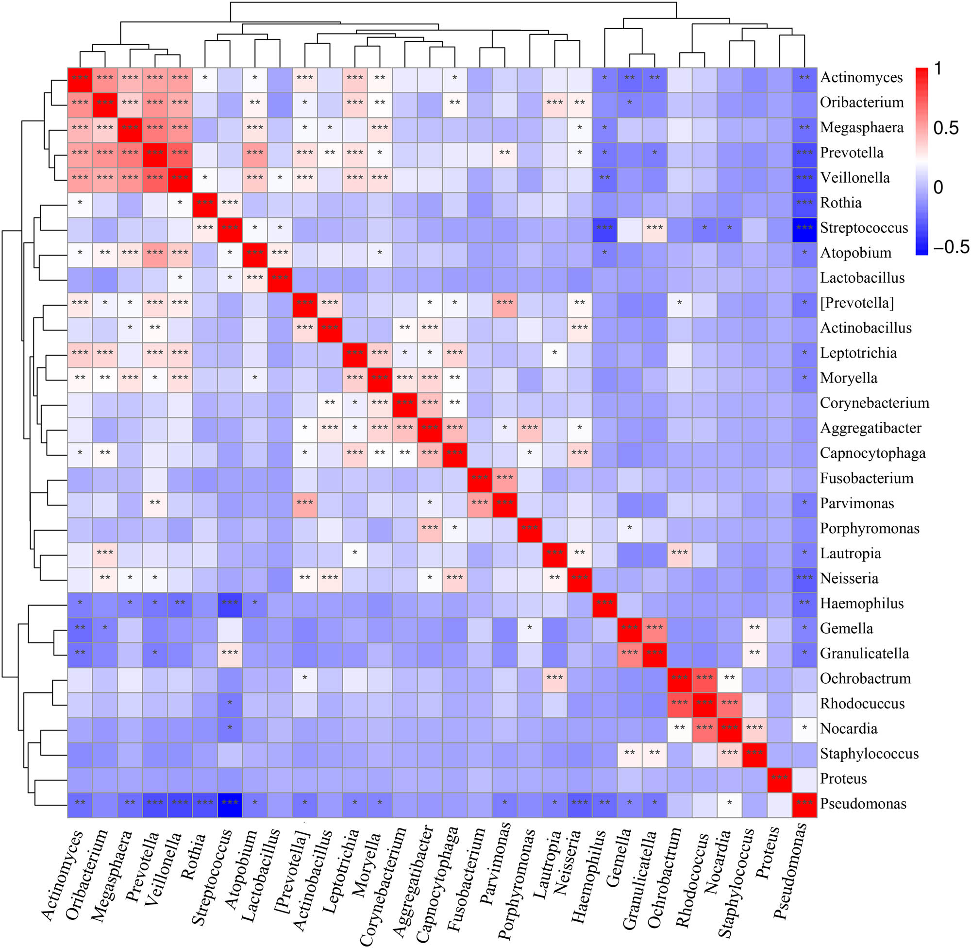 Figure 10
Heatmap of correlations. Note: Red denotes a positive correlation, whereas blue denotes a negative correlation. A larger number of asterisks indicate a higher correlation.