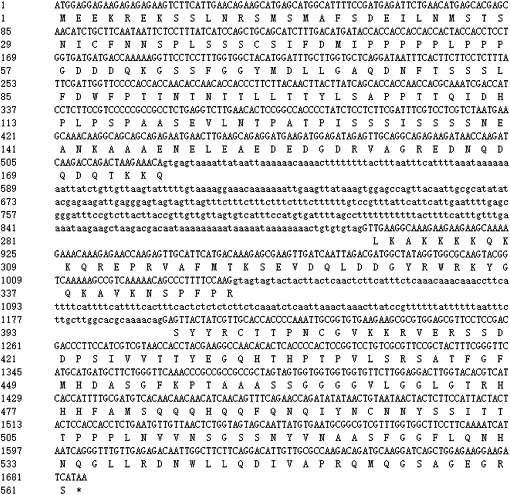 Figure 1
Nucleotide sequence and amino acid sequences of CiWRKY48: the upper row of line numbers represents the sequence of nucleic acids (the capital letters represent the sequence of exons and the lowercase letters represent the sequence of introns) and the lower row represents the sequence of amino acids.