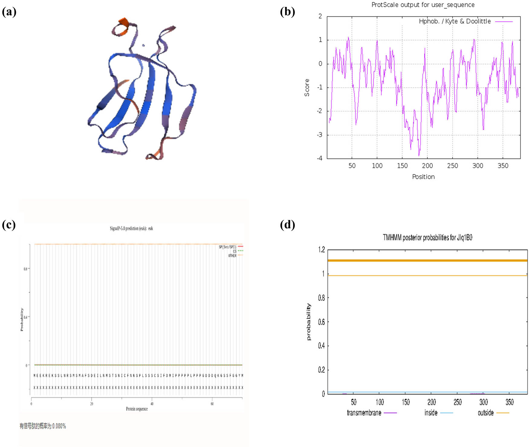 Figure 4
Bioinformatics analysis of CiWRKY48: (a) The 3D structure prediction diagram; (b) phosphorylation site prediction map; (c) signal peptide prediction map; and (d) transmembrane doamain prediction of CiWRKY48.
