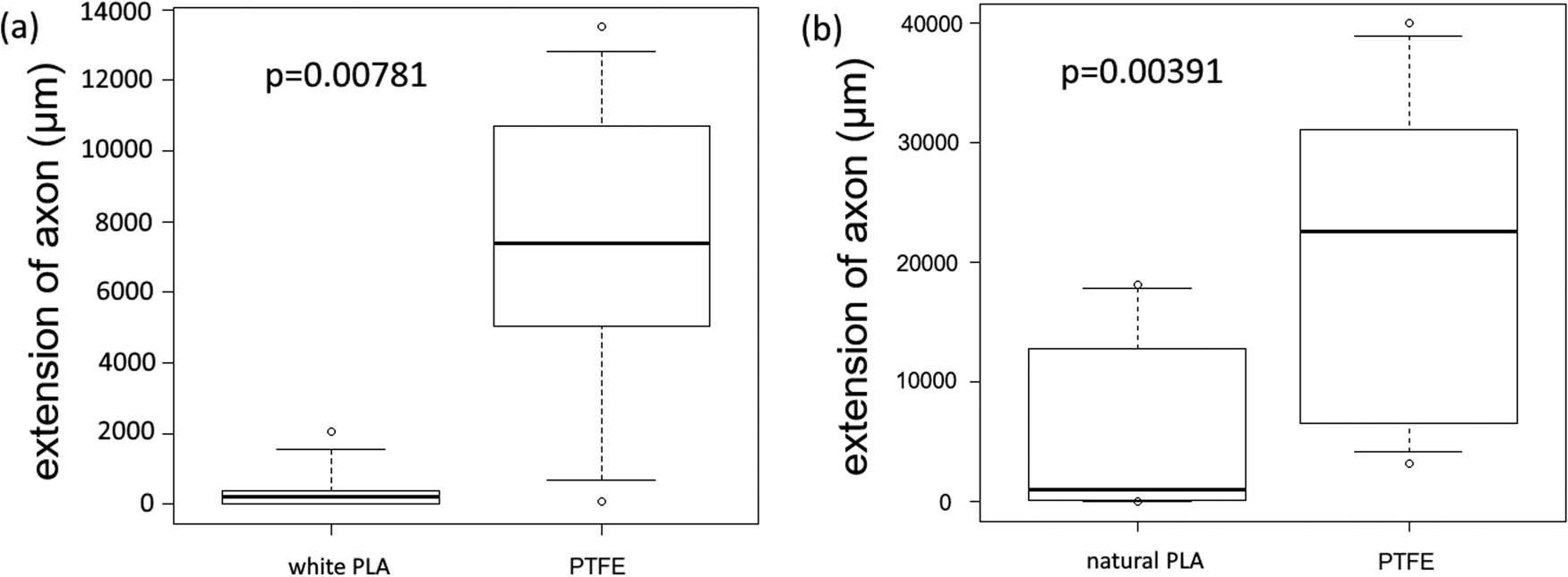 Figure 8
Comparison of PTFE and PLA. The PTFE and PLA groups were analyzed using the Wilcoxon signed-rank sum test, but the box plots were provided for reference. Both comparisons showed significant axon extensions for the PTFE group (white PLA p = 0.00781, natural PLA p = 0.00391).