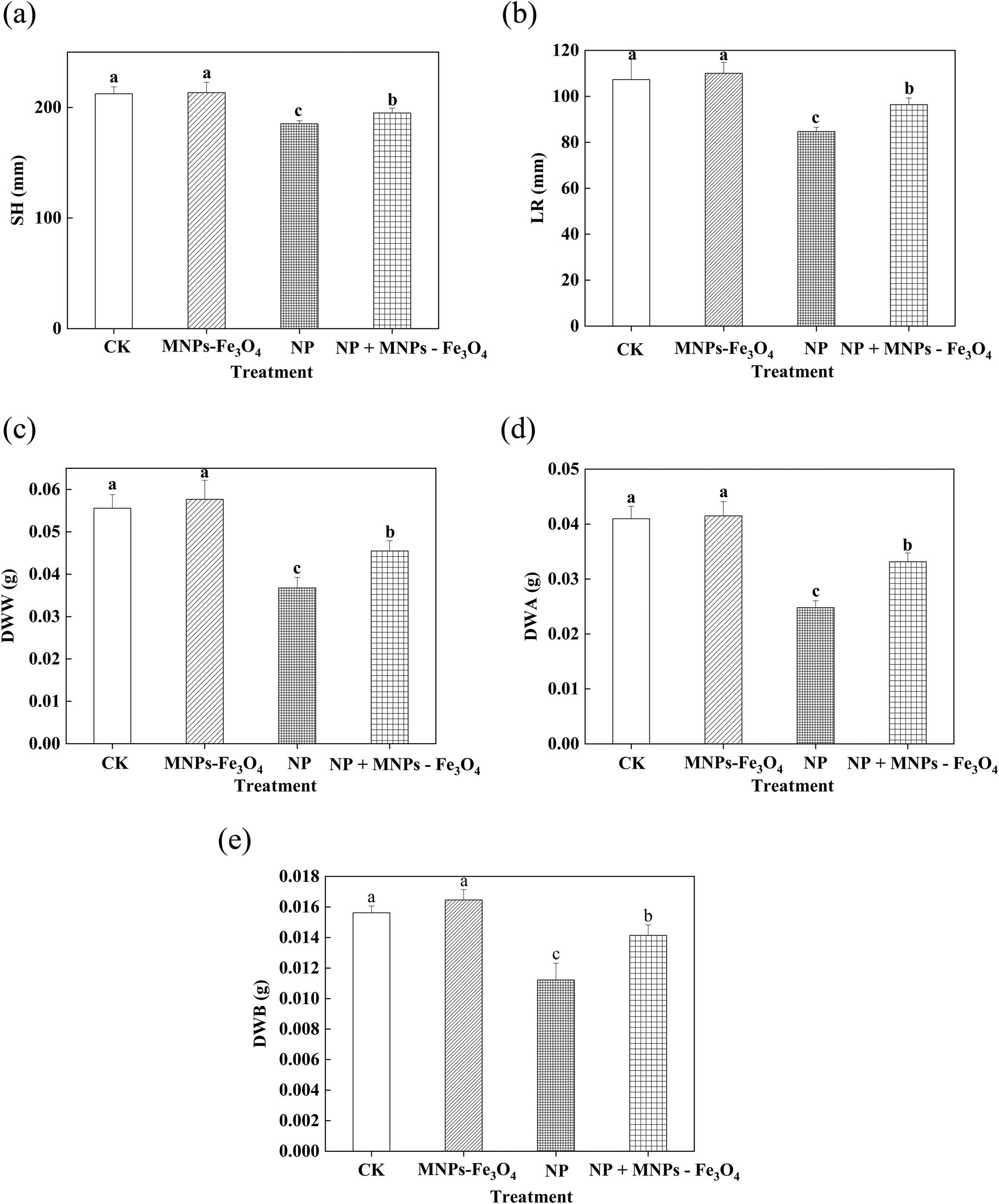 Figure 1 
                  Effects of MNPs-Fe3O4 on the SH (a), LR (b), DWW (c), DWA (d), and  DWB (e) under NP stress. CK: treatment with received the solvent alone as the controls; MNPs-Fe3O4: treatment with magnetic Fe3O4 nanoparticles (2,000 mg L−1); NP: treatment with NP (280 µM); and NP + MNPs-Fe3O4: treatment with a combination of NP (280 µM) and magnetic (Fe3O4) nanoparticles (2,000 mg L−1). Each value represents the mean  ±  SD of three individual replications at least. Different small letters indicate a significant difference (at P < 0.05) among the different treatments.
               