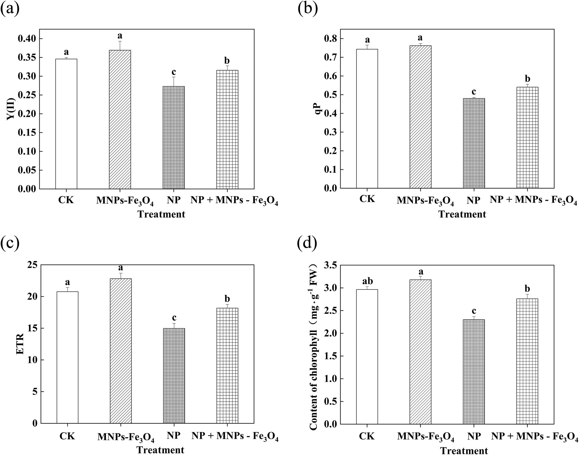 Figure 2 
                  Effects of MNPs-Fe3O4 on the Y(II) (a), qP (b), ETR (c), and chlorophyll content (d) of the rice seedlings under NP stress. CK: treatment with received the solvent alone as the controls; MNPs-Fe3O4: treatment with magnetic Fe3O4 nanoparticles (2,000 mg L−1); NP: treatment with NP (280 µM); and NP + MNPs-Fe3O4: treatment with combination of NP (280 µM) and magnetic (Fe3O4) nanoparticles (2,000 mg L−1). Each value represents the mean  ±  SD of three individual replications at least. Different small letters indicate a significant difference (at P < 0.05) among the different treatments.
               