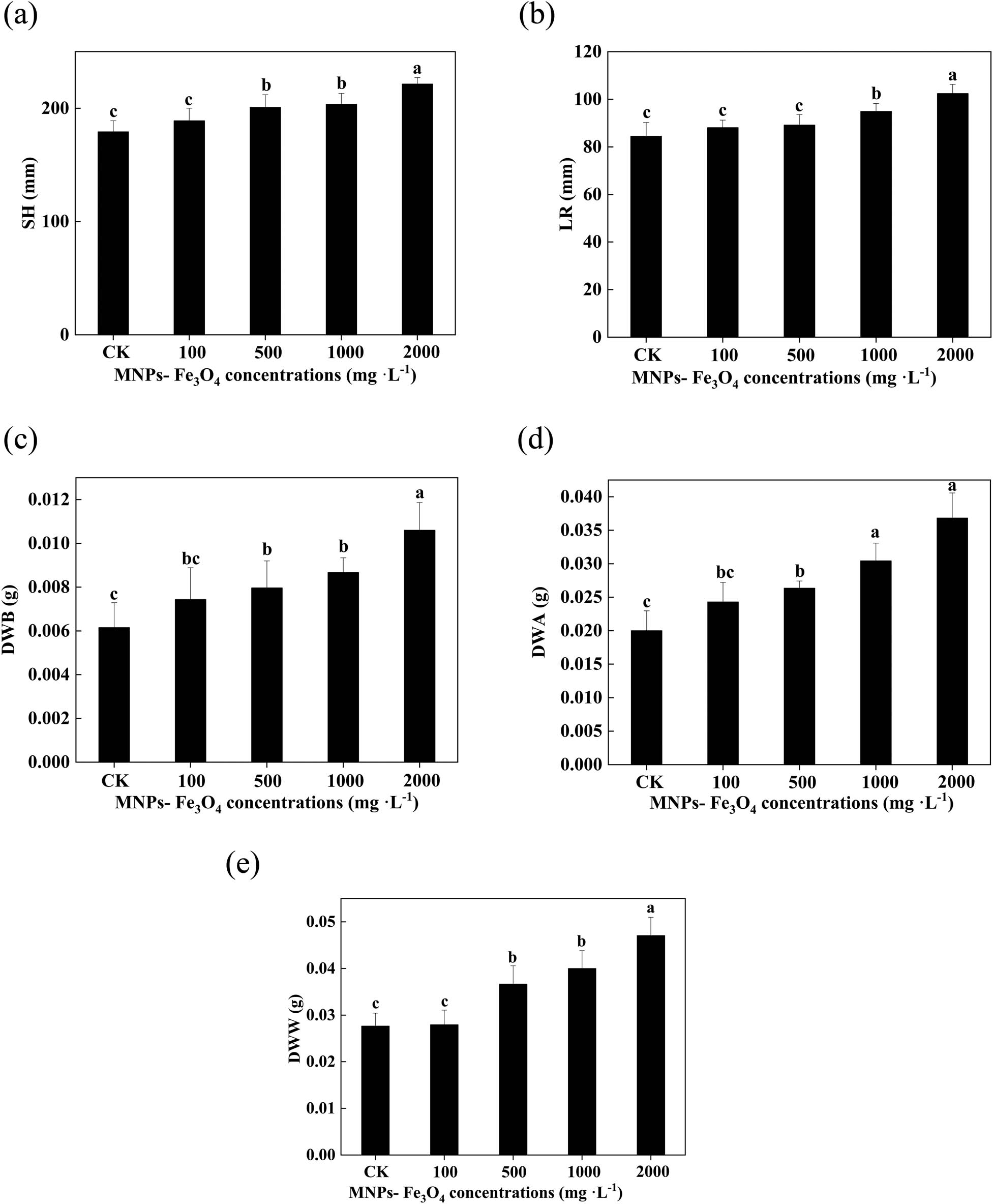 Figure 3 
                   Effects of MNPs-Fe3O4 on the SH (a), LR (b), DWB (c), DWA (d), and DWW (e). Each value represents the mean  ±  SD of three individual replications at least. Different small letters indicate a significant difference (at P < 0.05) among the seedlings treated with different concentrations of MNPs-Fe3O4.
               