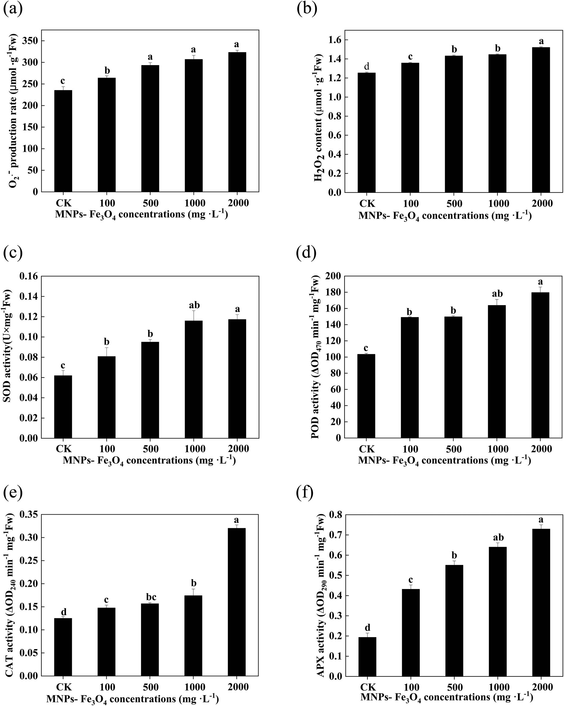 Figure 4 
                  Effects of MNPs-Fe3O4 on the production rate of superoxide anion (
                        
                           
                           
                              
                                 
                                    O
                                 
                                 
                                    2
                                 
                                 
                                    −
                                 
                              
                           
                           {\text{O}}_{2}^{-}
                        
                     ) (a), hydrogen peroxide (H2O2) content (b), and the activities of SOD (c), POD (d), CAT (e), and APX (f) of rice seedling roots. Each value represents the mean  ±  SD of three individual replications at least. Different small letters indicate a significant difference (at P < 0.05) among the seedlings treated with different concentrations of MNPs-Fe3O4.
               