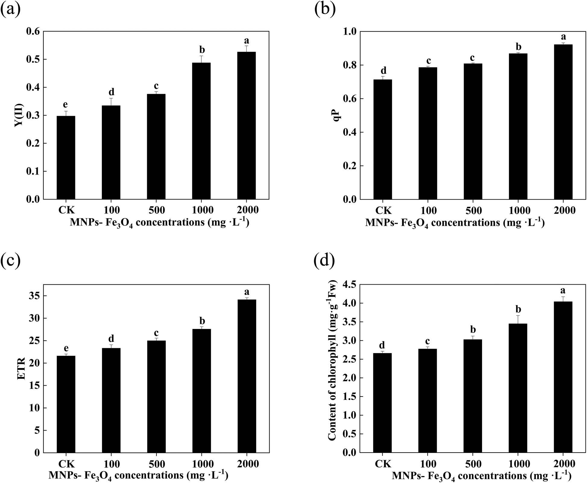 Figure 5 
                  Effects of MNPs-Fe3O4 on Y(II) (a), qP (b), ETR (c), and chlorophyll content (d) of the rice seedlings. Each value represents the mean  ±  SD of three individual replications at least. Different small letters indicate a significant difference (at P < 0.05) among the seedlings treated with different concentrations of NP.
               