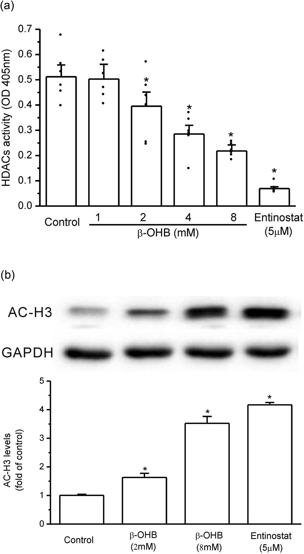 Figure 2
β-OHB inhibited HDACs’ activity in HepG2 cells. (a) β-OHB dose-dependently inhibited HDACs’ activity in HepG2 cells (*P < 0.05 vs control, n = 6 samples per group). (b) The levels of AC-H3 in HepG2 cells were significantly increased by β-OHB treatment as shown by western blot (*P < 0.05 vs control, n = 3 times repetitions).