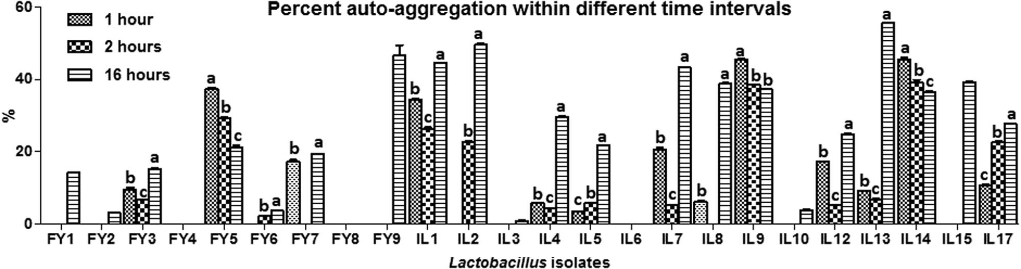 Figure 4
Auto-aggregation of lactobacilli within different time intervals.