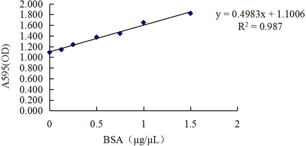Figure 1
Standard Bradford curve for protein contents. Note: The x-axis denotes BSA, bovine serum albumin concentration (μg/μL); y-axis denotes OD value at A595, absorbance of the microplate reader at a wavelength of 595 nm.
