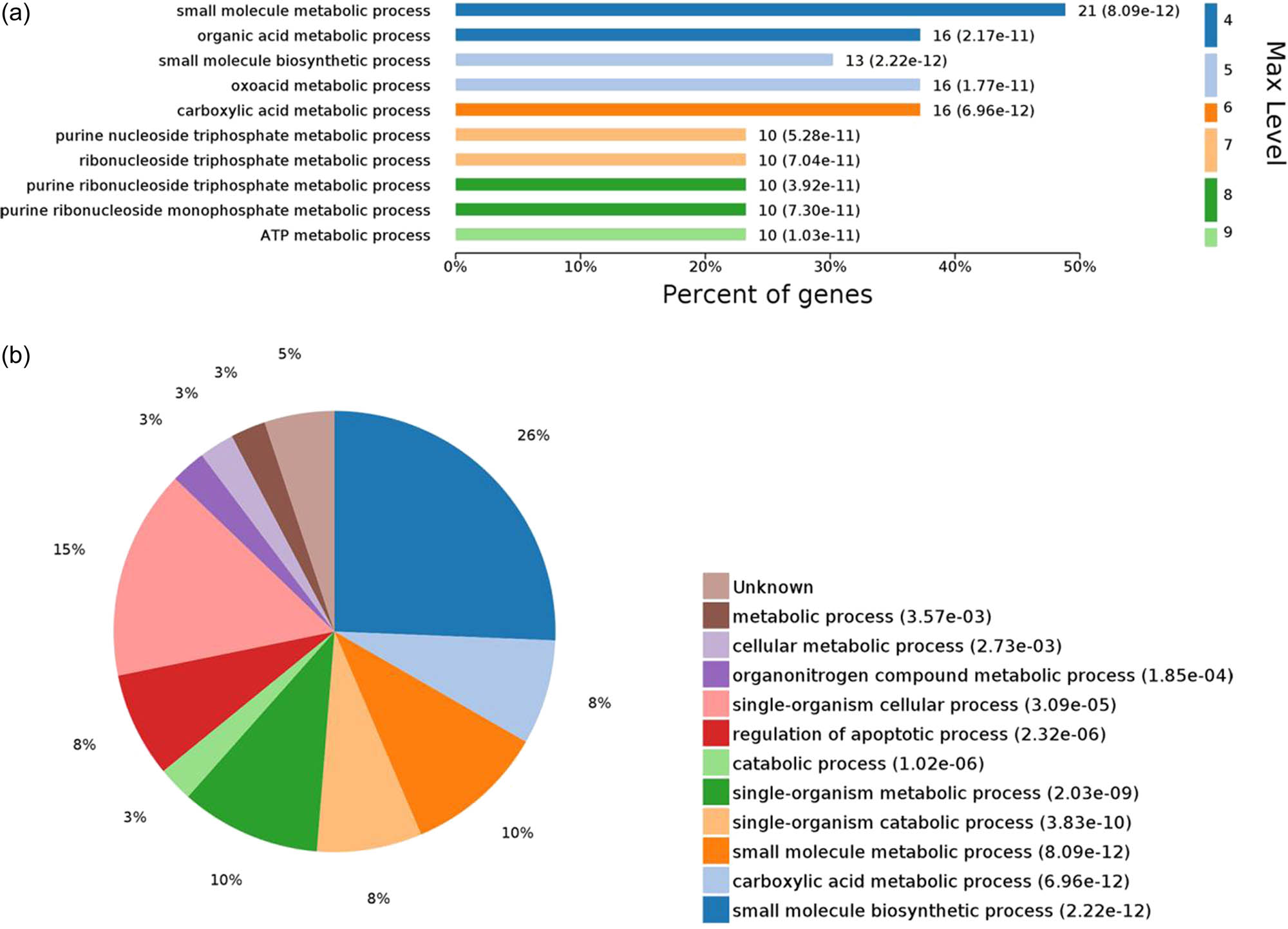 Figure 4
GO enriched biological process terms with statistically significant differences. Note: Map (a) shows the top ten biological processes for statistically significant differences; y-axis denotes the difference order at the maximum level terms; x-axis denotes the percentage of enriched proteins in each term. Map (b) shows the proportion distribution of all biological processes, with P ≤ 0.05.