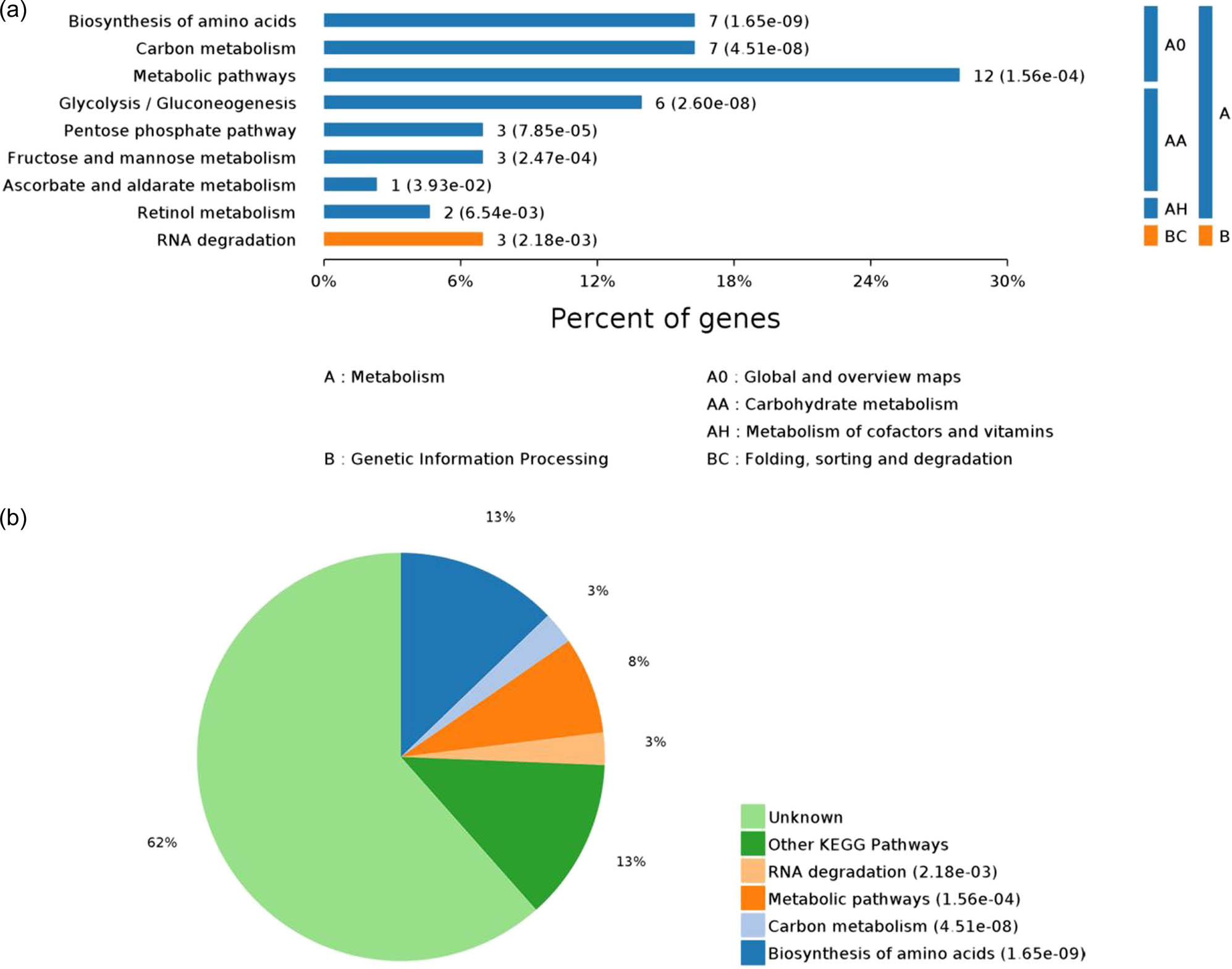 Figure 5
Pathways with significant differences in KEGG enrichment. Note: Map (a) shows all KEGG enriched pathways with P ≤ 0.05; y-axis denotes the pathway classification and name; x-axis denotes the percentage of enriched proteins in each pathway. Map (b) shows the proportion distribution of pathways with P ≤ 0.05.