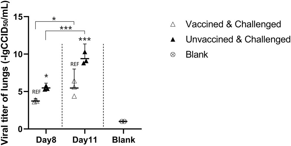 Figure 10
PBS (1 mg:1 mL) was added according to the mass of the lungs. The milled tissue fluid was stored at −80°C after centrifugation. Viral titer testing was performed concurrently after the last sampling. The CCID50 results showed that the viral load in the lung was significantly higher in the placebo group than vaccine group.