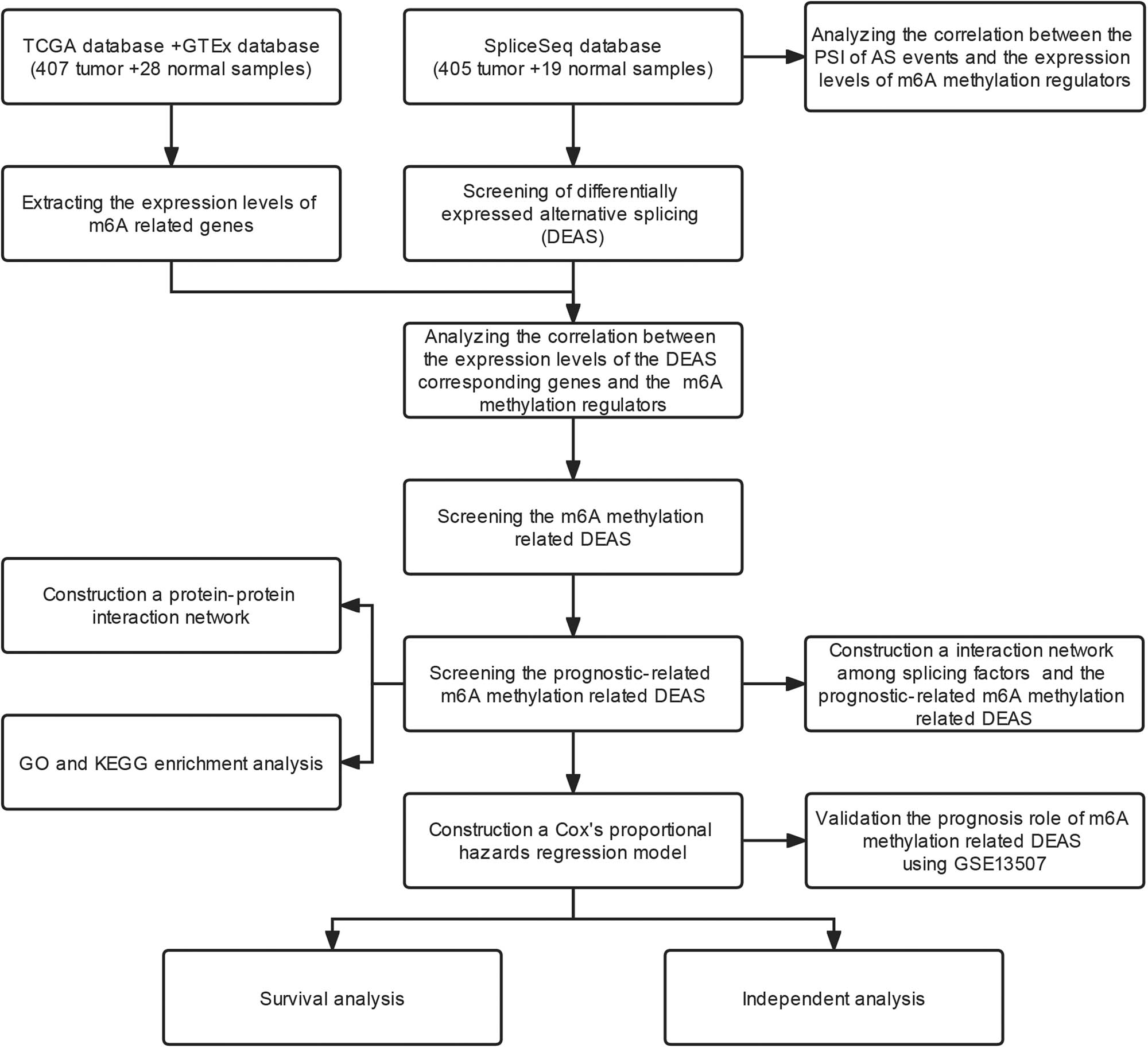 Figure 1 
               Research flow chart.
            
