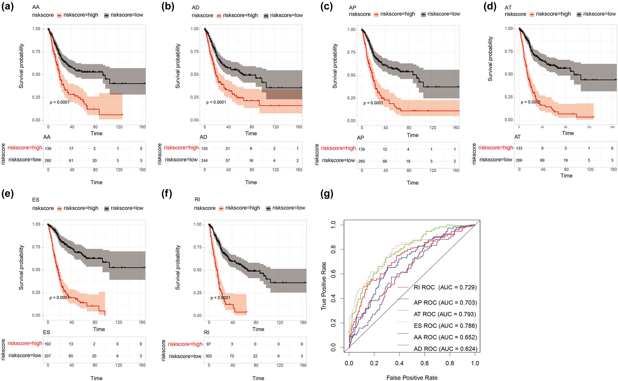 Figure 6 
                  KM and ROC of prognostic predictors in the TCGA. (a–f) Represent the KM plot depicting the survival probability over time for the prognostic predictor of six types of AS events with the high- (red) and low- (blue) risk groups, respectively. (g) ROC analysis for all prognostic predictors.
               