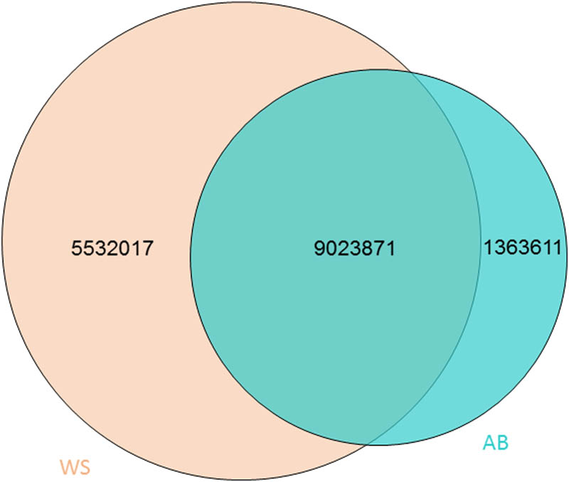 Figure 1
SNP following SNP calling. High quality SNPs were evaluated and identified. AB and WS indicate Abaga horse and Wushen horse, respectively.