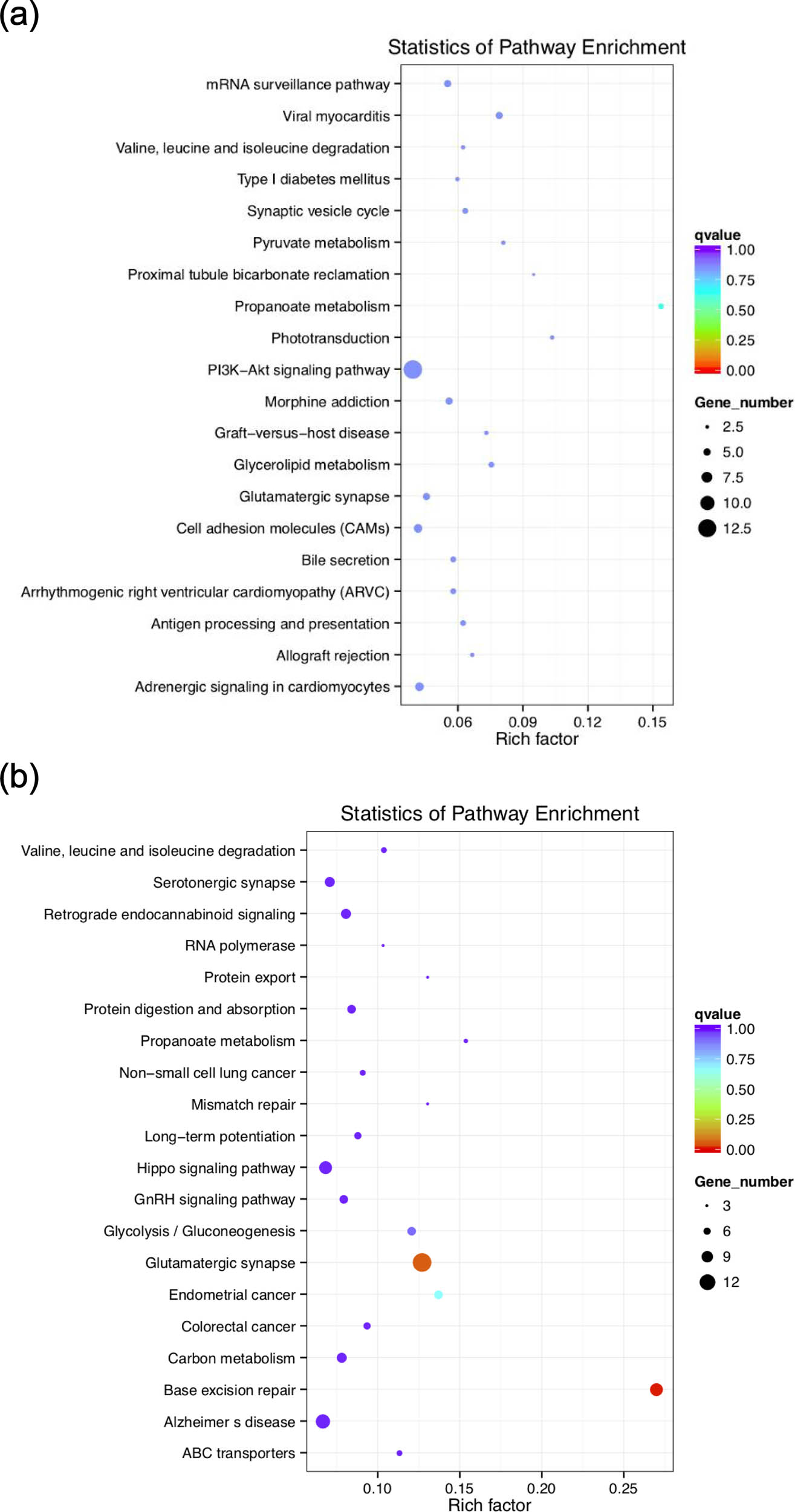 Figure 5
The KEGG pathway enrichment analysis: (a) top 20 of enriched pathways by statistics in Abaga horse and (b) top 20 enriched pathways by statistics in Wushen horse.