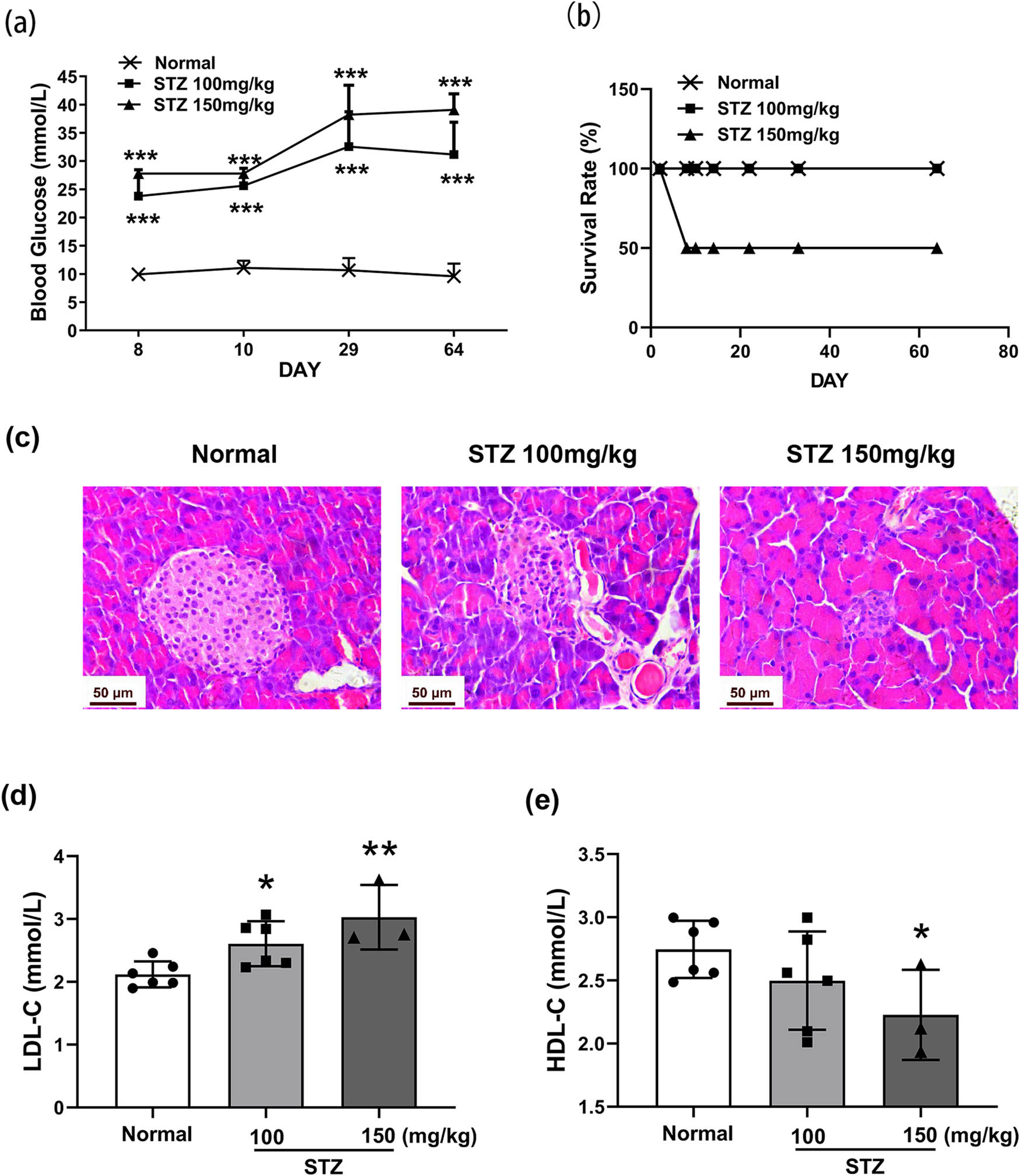 Figure 1
Characteristics of metabolism and histopathology in STZ-induced diabetic mice. Mice were treated with STZ at 100 or 150 mg/kg by intraperitoneal injection. The pancreas was dissected on Day 64. The blood glucose levels (a) and survival rate (b). Histopathology of the pancreas detected by H&E, photographed at 400× magnification (c). The levels of serum LDL-C (d) and HDL-C (e) in STZ-induced mice, n = 6. Data are expressed as the means ± SD. *P < 0.05, **P < 0.01, ***P < 0.001, vs the normal group, tested by one-way ANOVA and Fisher’s PLSD.