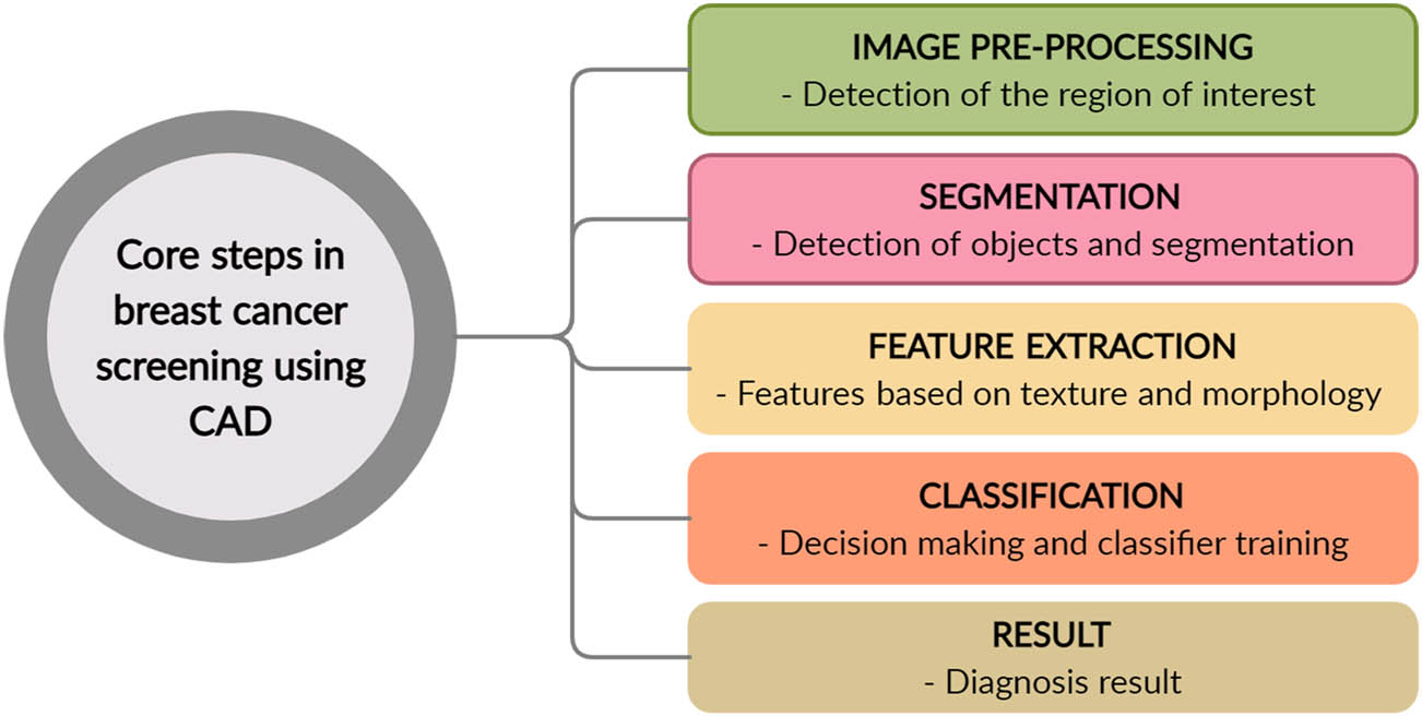 Figure 1 
               Core steps employed in breast cancer screening with the help of CAD systems.
            