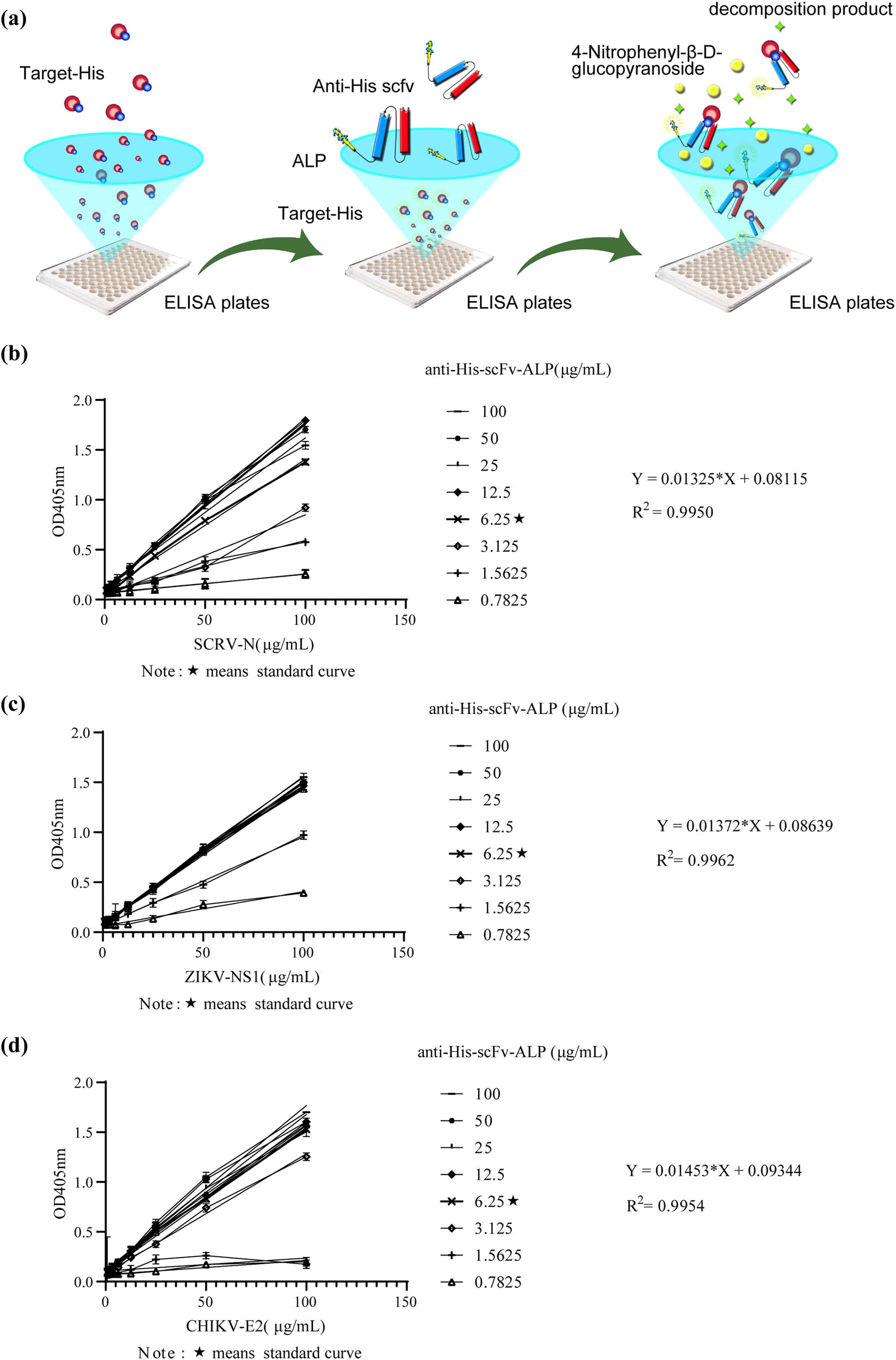 Figure 4
Direct anti-His-scFv-ALP ELISA. (a) Sketch map, (b) detection of His-tagged recombinant protein SCRV-N, (c) detection of His-tagged recombinant protein ZIKV-NS1, and (d) detection of His-tagged recombinant protein CHIKV-E2.