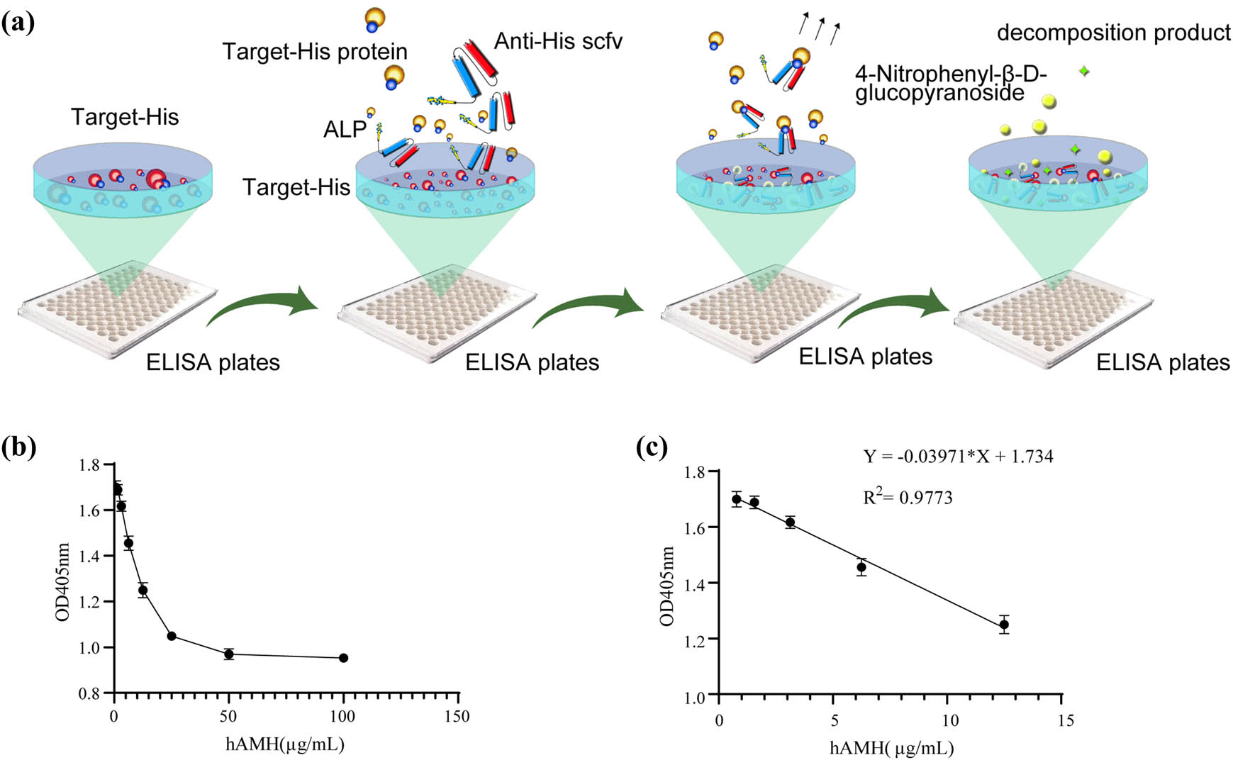 Figure 5
Competitive anti-His-scFv-ALP ELISA. (a) Sketch map, (b) detection of His-tagged recombinant protein hAMH, and (c) standard curve using His-tagged recombinant protein hAMH as a coating protein.