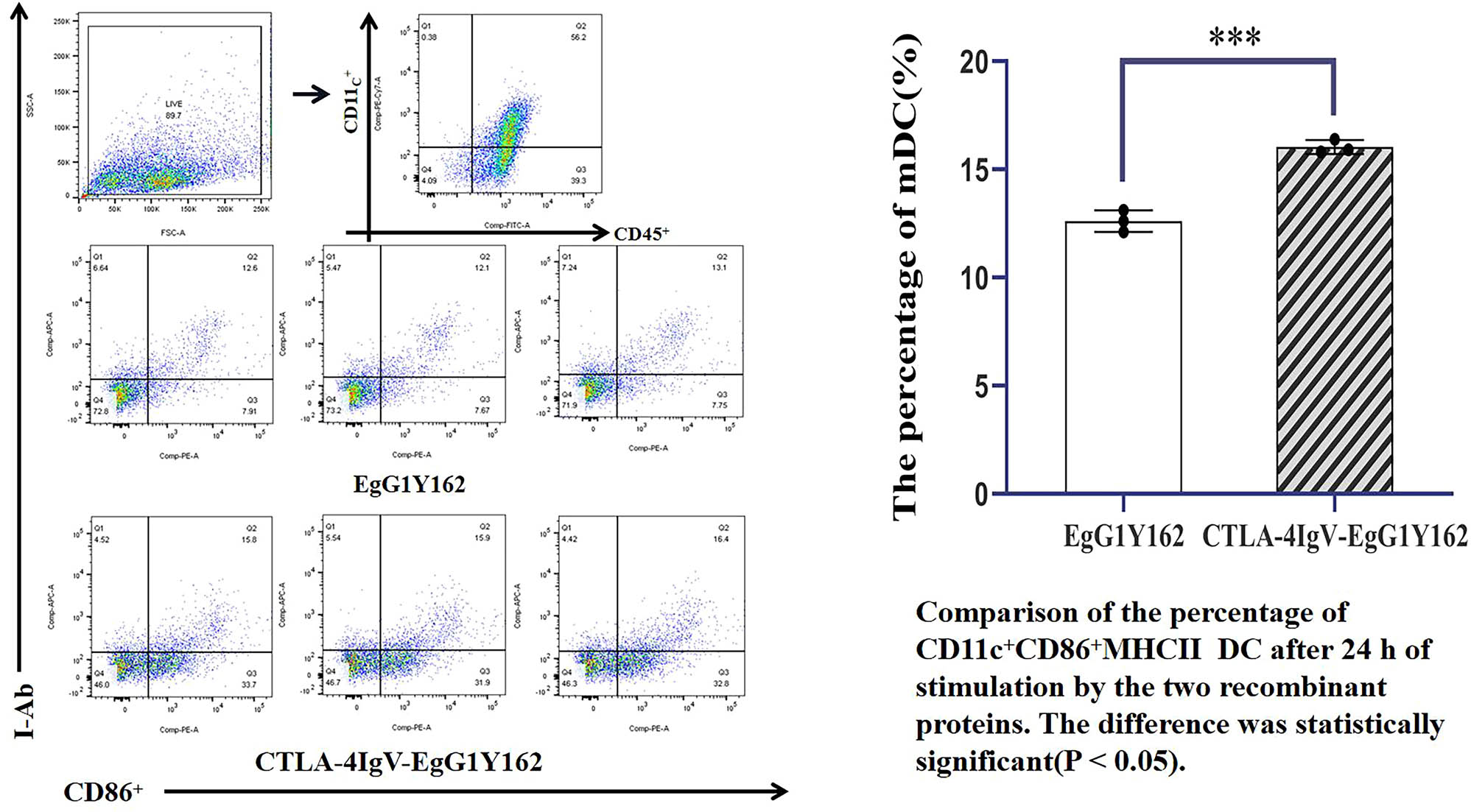Figure 8
Ability of antigen molecules to promote dendritic cell maturation as determined via flow cytometry.