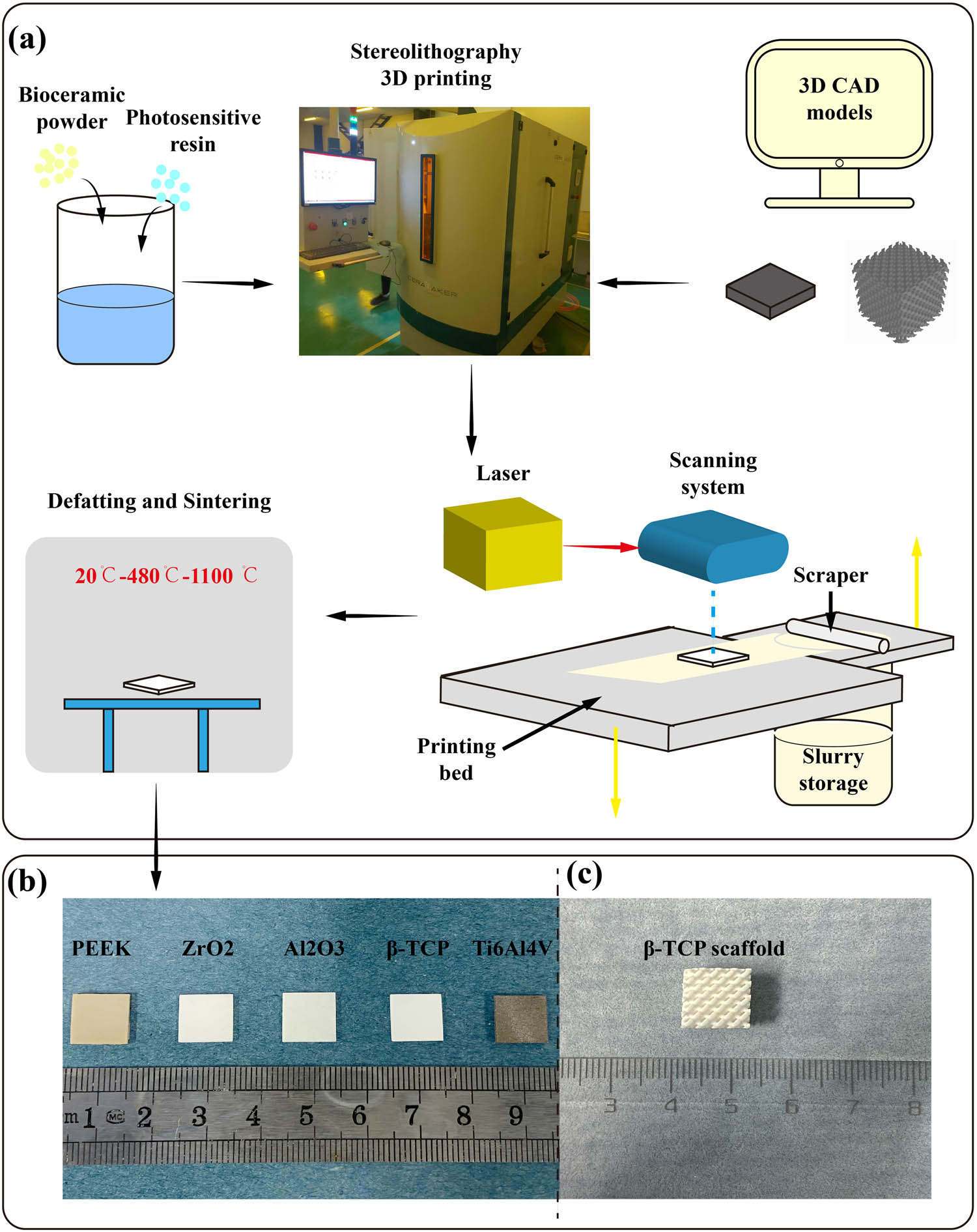 Figure 1
Schematic of the SLA system and example of plates and scaffold used in this experiment. (a) Schematic of SLA 3DP process of β-TCP bioceramics: the composite slurry of β-TCP powder and photosensitive resin was evenly distributed on the printing bed; then laser shooting, curing, and molding were performed according to the CAD models; after that, the 3DP of the next layer continued; finally, the printed ceramic was further processed by defatting and sintering. (b) Thin plates of PEEK, ZrO2, Al2O3, β-TCP, and Ti6Al4V. (c) β-TCP scaffold printed by SLA.