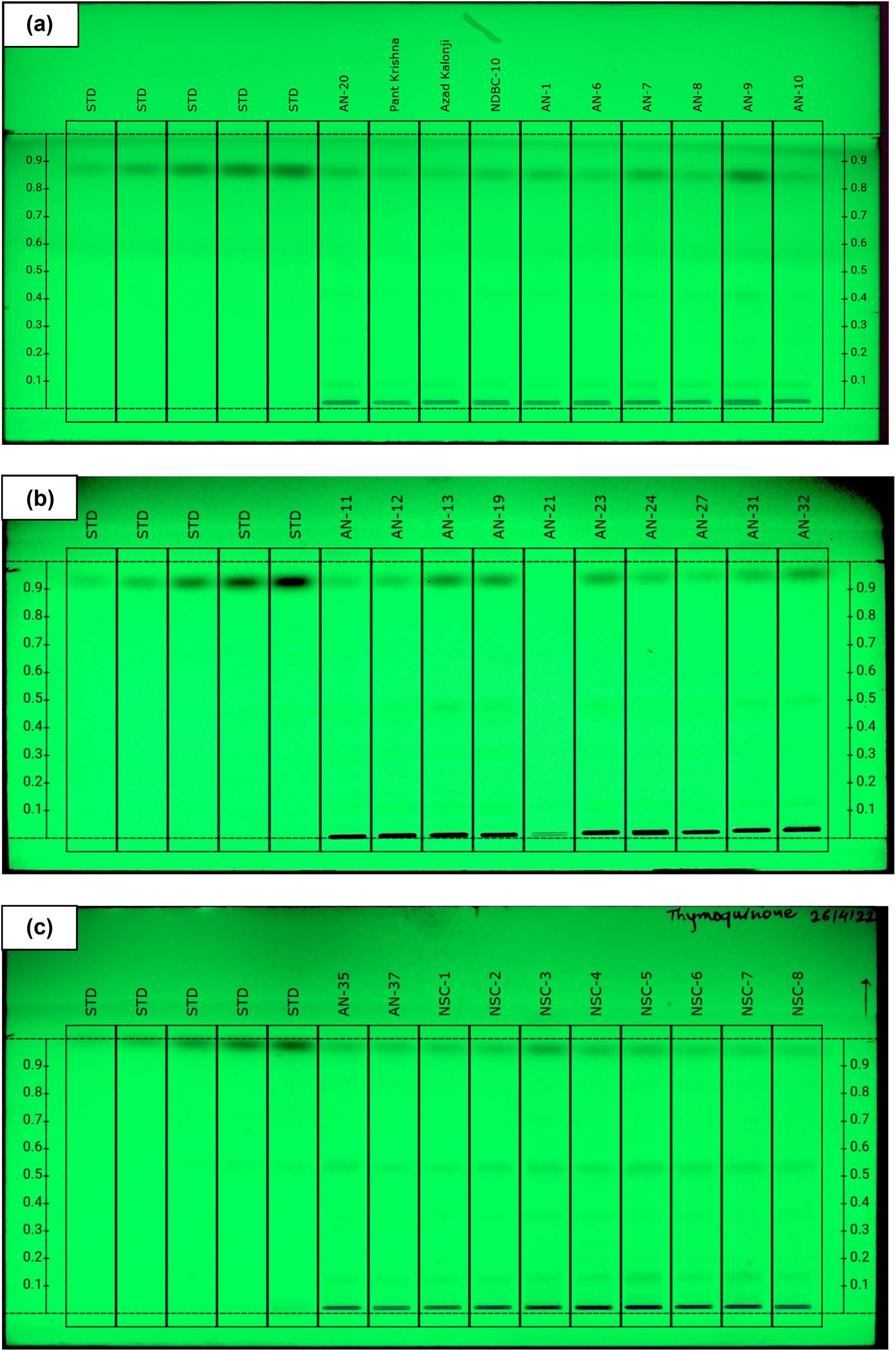 Figure 4
HPTLC separation of N. sativa L. genotypes and elite varieties seed extract in mobile phase n-hexane:ethyl acetate (8:2, v/v) observed under UV illumination at 254 nm; tracks STD - standard at five different concentrations. (a) Thymoquinone standard concentration and in studied genotypes, (b) thymoquinone standard concentration and in studied genotypes, (c) thymoquinone standard concentration and in studied genotypes, (d) thymoquinone standard concentration and in studied genotypes.