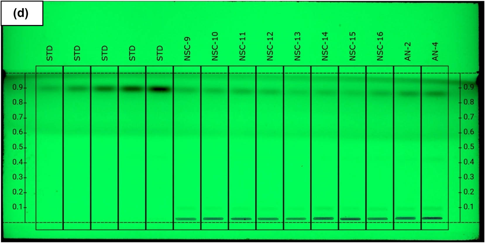 Figure 4
HPTLC separation of N. sativa L. genotypes and elite varieties seed extract in mobile phase n-hexane:ethyl acetate (8:2, v/v) observed under UV illumination at 254 nm; tracks STD - standard at five different concentrations. (a) Thymoquinone standard concentration and in studied genotypes, (b) thymoquinone standard concentration and in studied genotypes, (c) thymoquinone standard concentration and in studied genotypes, (d) thymoquinone standard concentration and in studied genotypes.