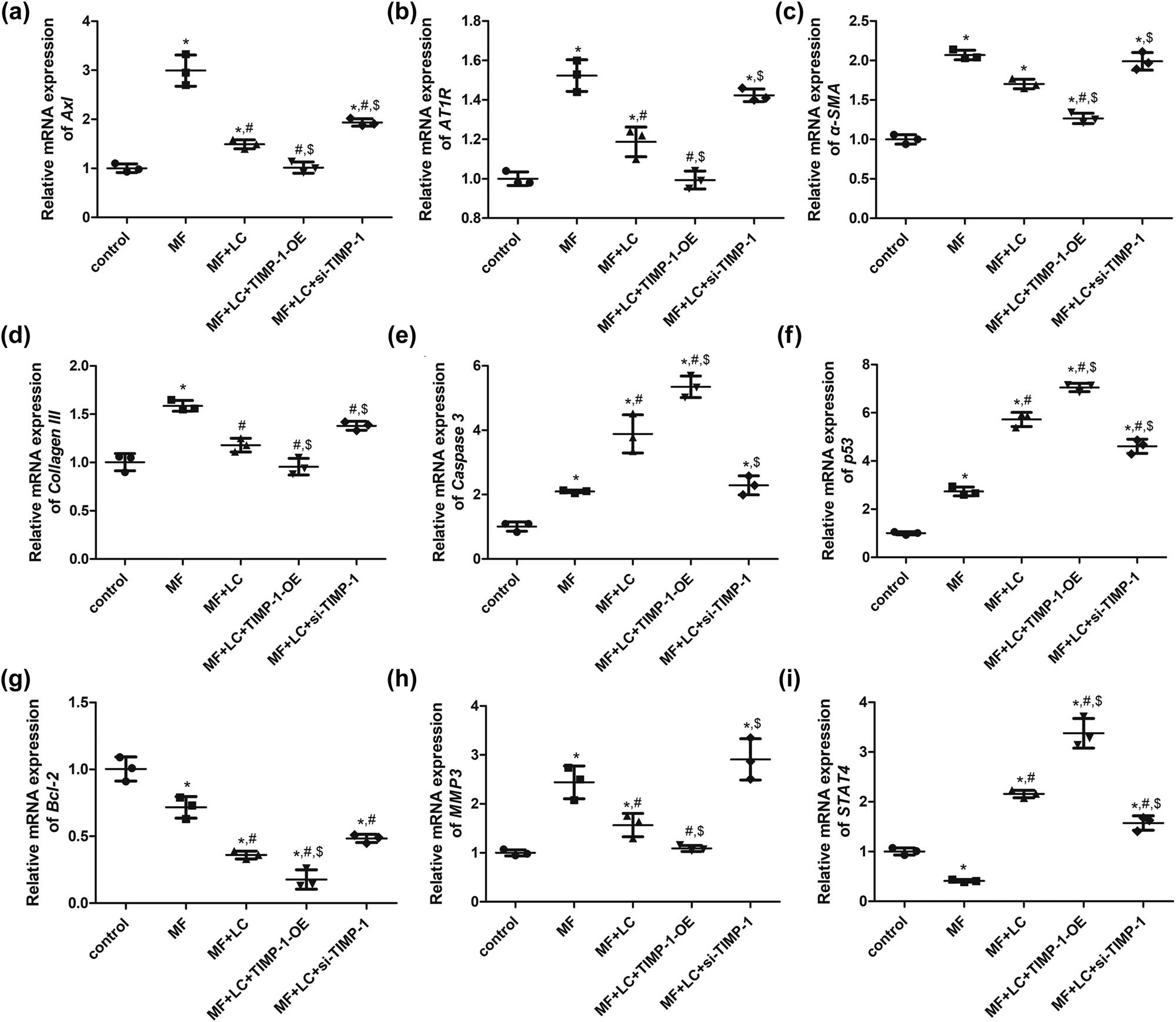 Figure 5 
                  Effects of TIMP-1 on the expression of oxidative stress-related genes, MF-related genes, and apoptosis-related genes determined using qRT-PCR. Relative mRNA expression of Axl (a), AT1R (b), α-SMA (c), Collagen III (d), Caspase 3 (e), p53 (f), Bcl2 (g), MMP3 (h), and STAT4 (i). *P < 0.05 vs control, #
                     P < 0.05 vs MF, $
                     P < 0.05 vs MF + LC. TIMP‐1, tissue inhibitor of metalloproteinases‐1; MMP, matrix metalloproteinase; Axl, AXL receptor tyrosine kinase; AT1R, angiotensin II receptor type 1; α-SMA, α-smooth muscle actin; MF, myocardial fibrosis; siRNA, small interfering RNA; OE, over-expression, LC, levocarnitine.
               