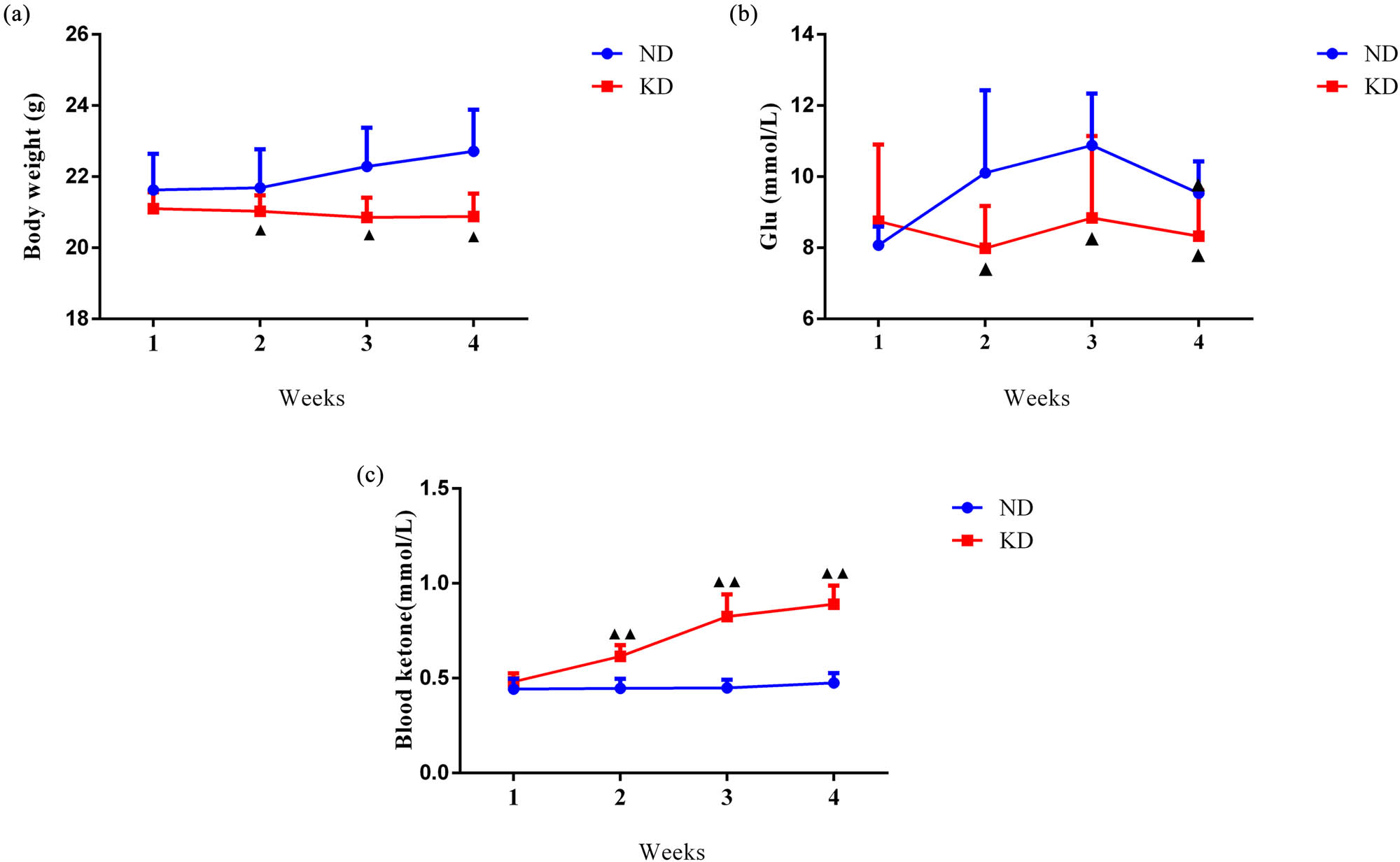Figure 1 
                  KD suppressed body weight and Glu level and augmented blood ketone level of C57BL/6 mice. (a) Body weight trajectories of mice on KD for 4 weeks. (b) Blood Glu level of mice on the KD for 4 weeks. (c) Blood ketone level of mice on the KD for 4 weeks. Data are expressed as mean ± SD (n = 10/group). Statistical significance was determined by one-way ANOVA. ▲
                     P < 0.05, ▲▲
                     P < 0.01 vs ND group. ND, normal diet; KD, ketogenic diet.
               