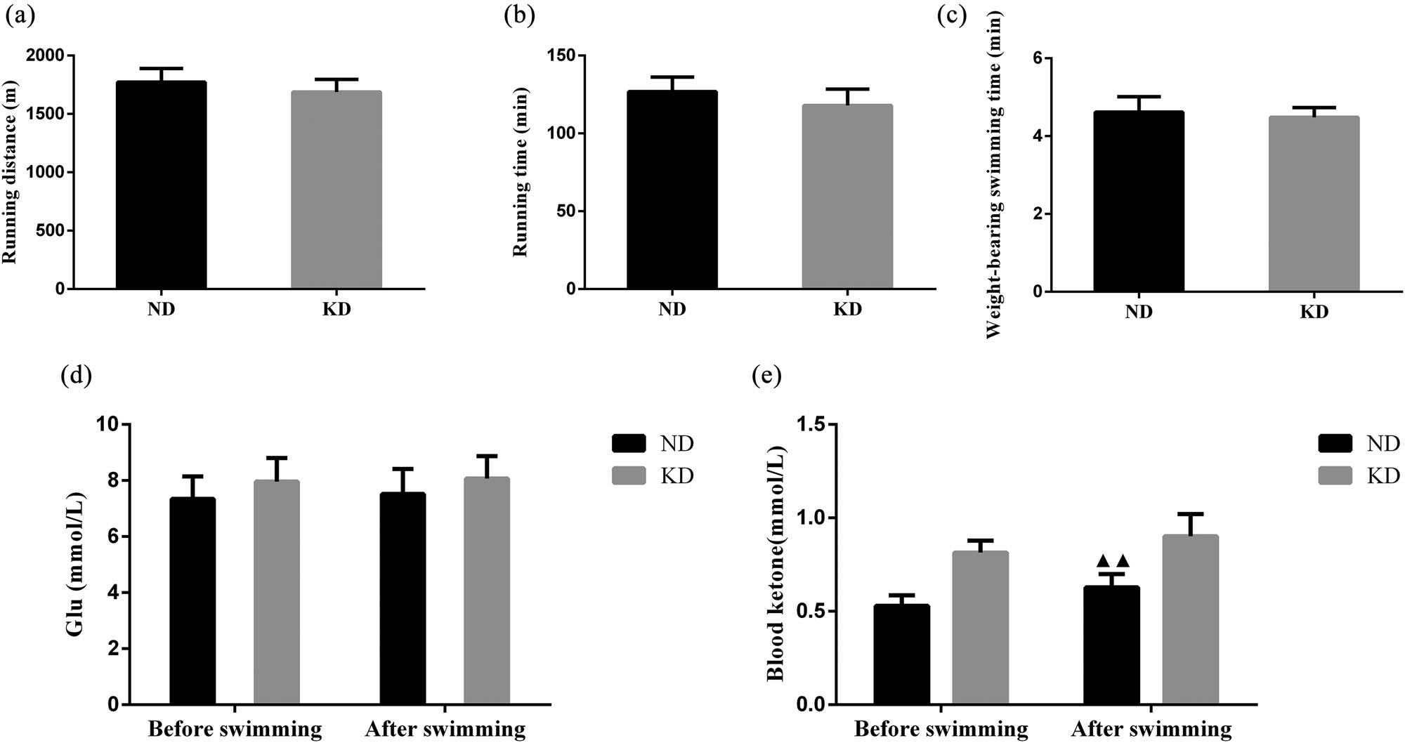 Figure 3 
                  Effect of KD on exercise tolerance in C57BL/6 mice. (a) Running distance, (b) running time, (c) weight-bearing swimming time of mice treated with KD for 4 weeks. (d) Levels of blood Glu and (e) ketone in mice before and after swimming. Data are expressed as mean ± SD. Differences of data in mice were assessed by two-tailed Student’s t-test. ▲▲
                     P < 0.01 vs ND group. ND, normal diet; KD, ketogenic diet.
               
