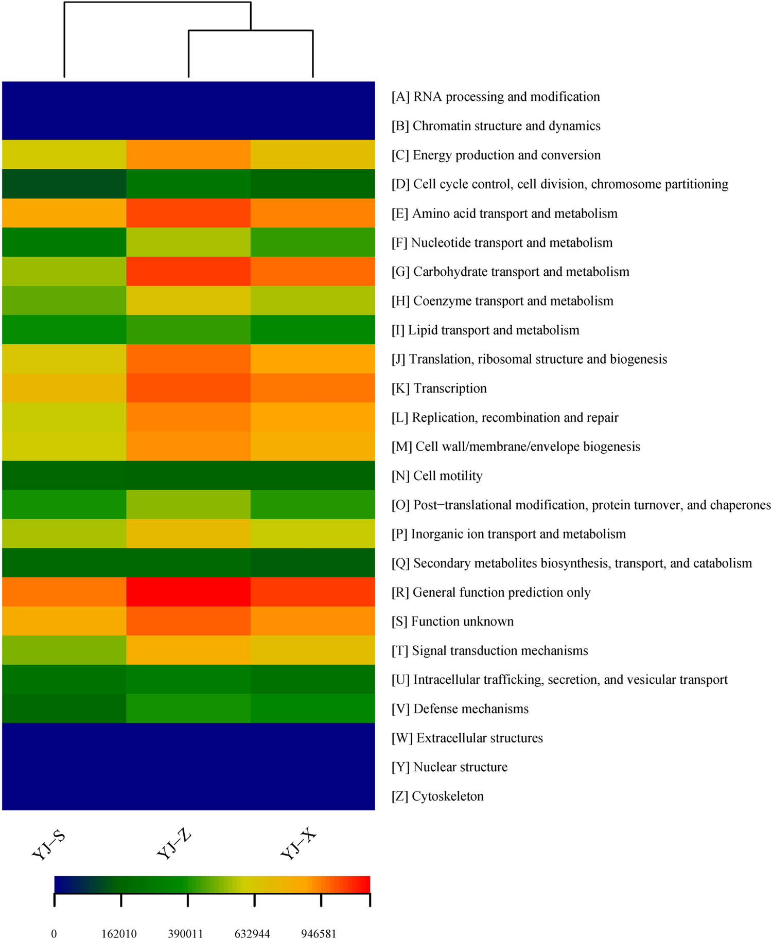 Figure 8
Heatmap of gene functional predictions of samples based on COG.