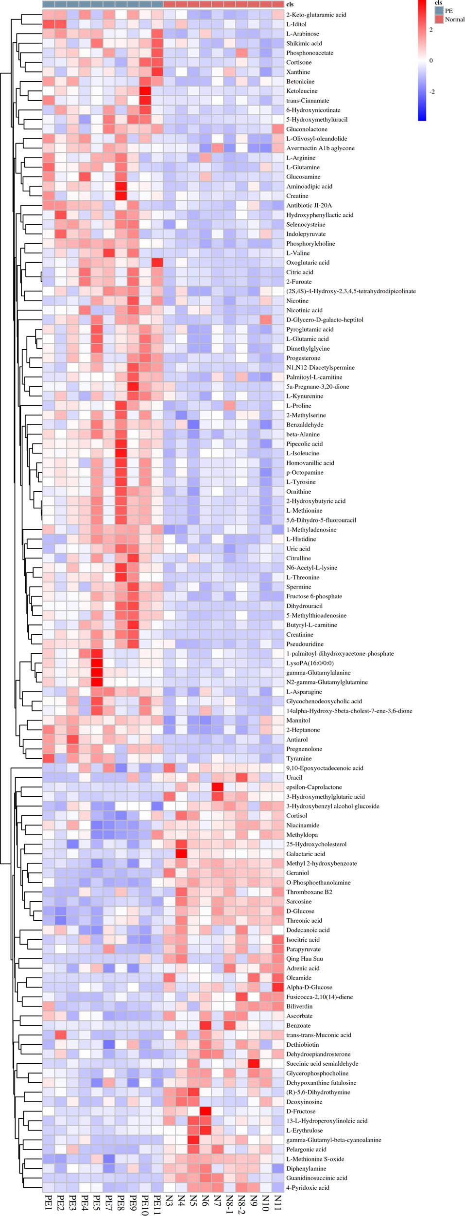 Figure 2 
                  Heatmap with all the significant metabolites.
               