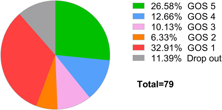 Figure 3 
                  The GOS score of patients with suspected severe CNS infection at the 90th day after discharge.
               