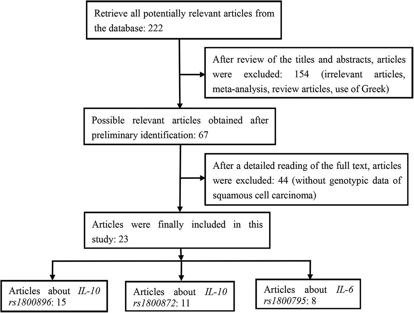 Figure 1 
                  Whole flow diagram of the study selection process.
               