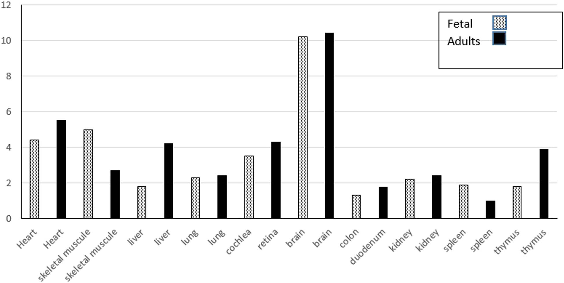 Figure 2 
                  Human DOLK mRNA expression analysis in fetal and adult tissues shown as fold change in comparison to tissue with lowest expression level [9].
               